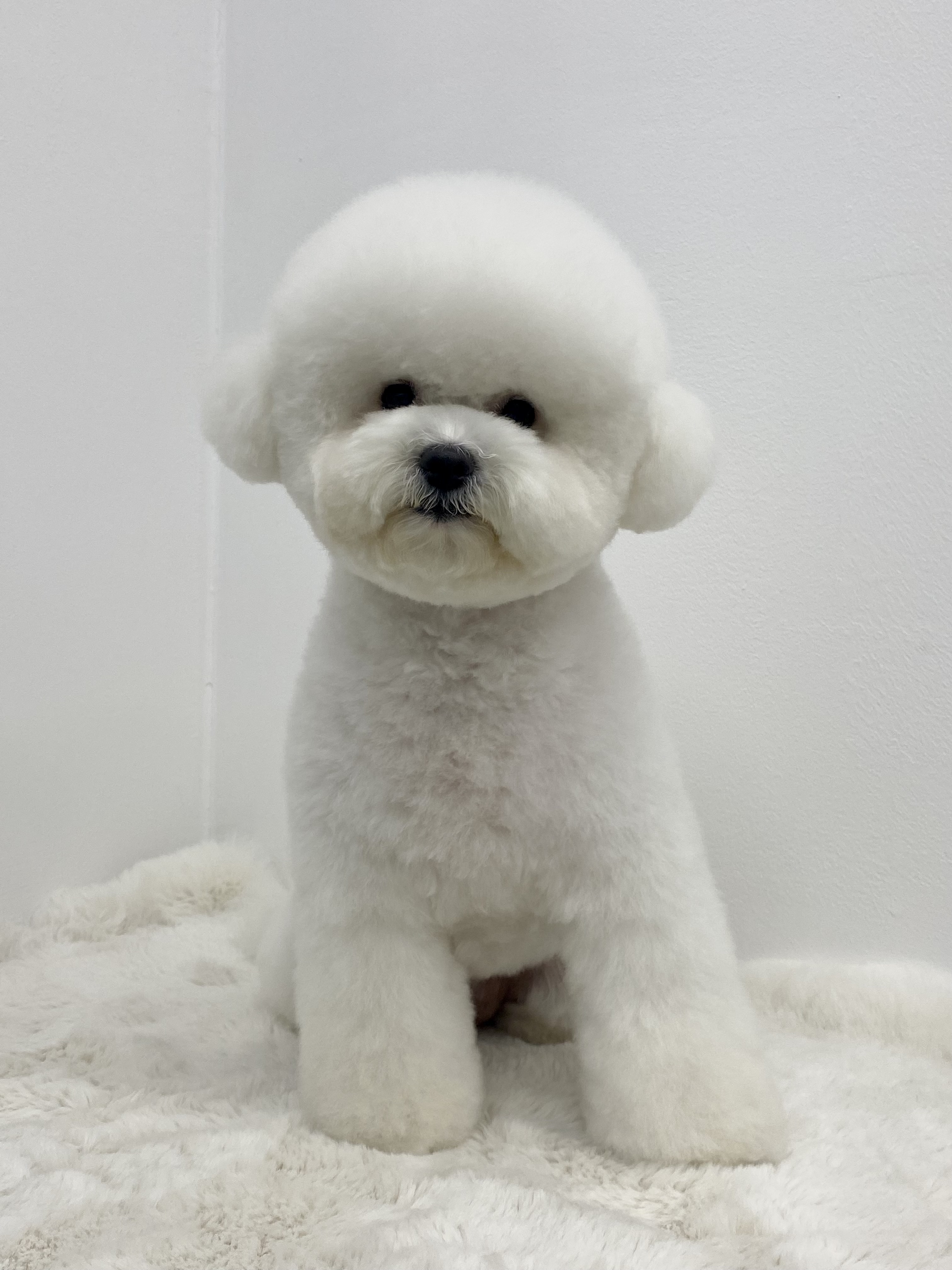 오쿠숑 대표 이미지