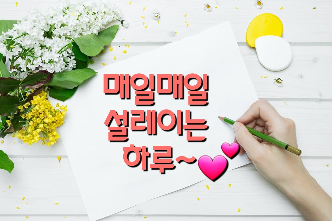 대박점핑&체온다이어트