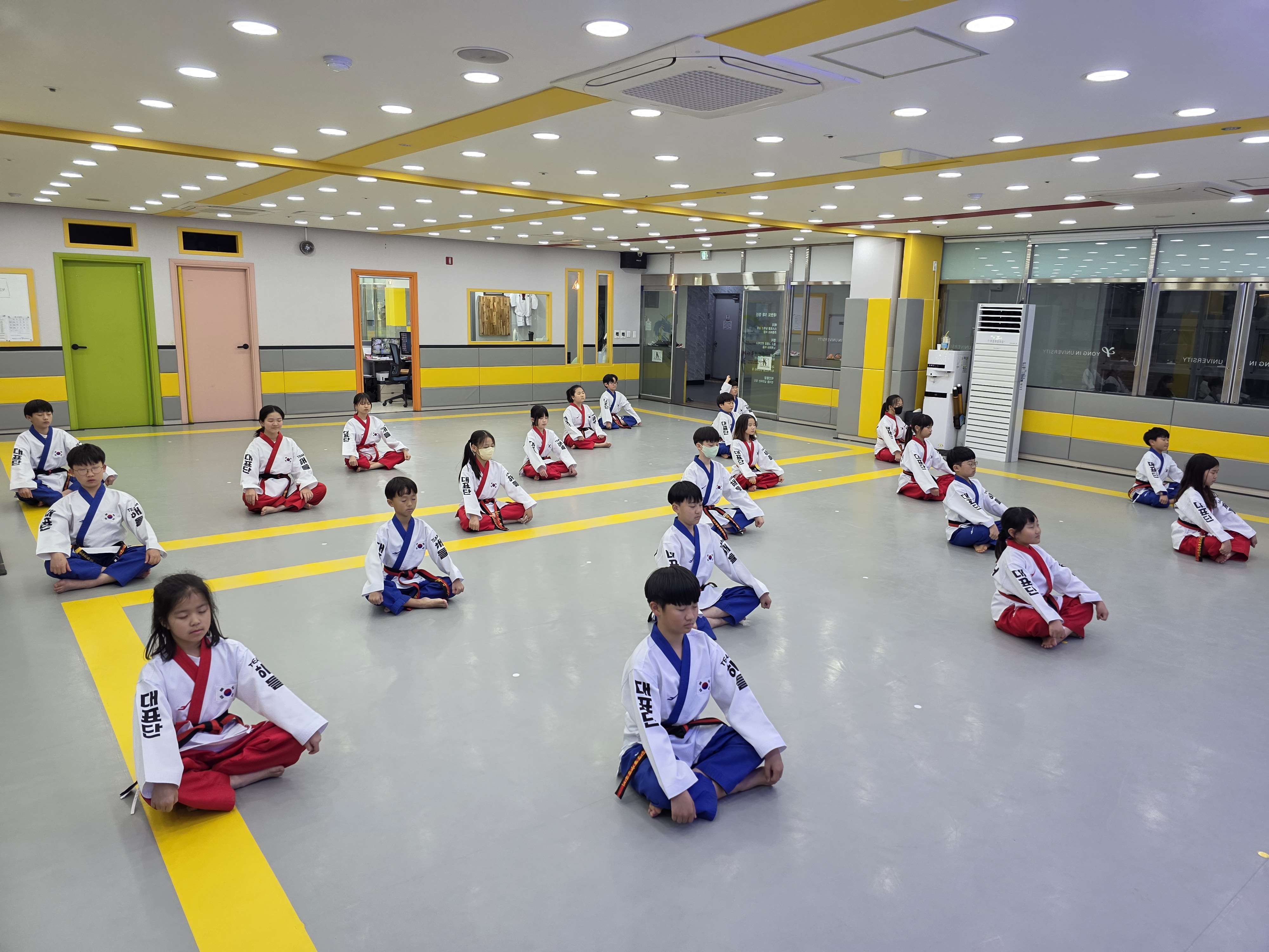 용인대 국가대표 해들 태권도