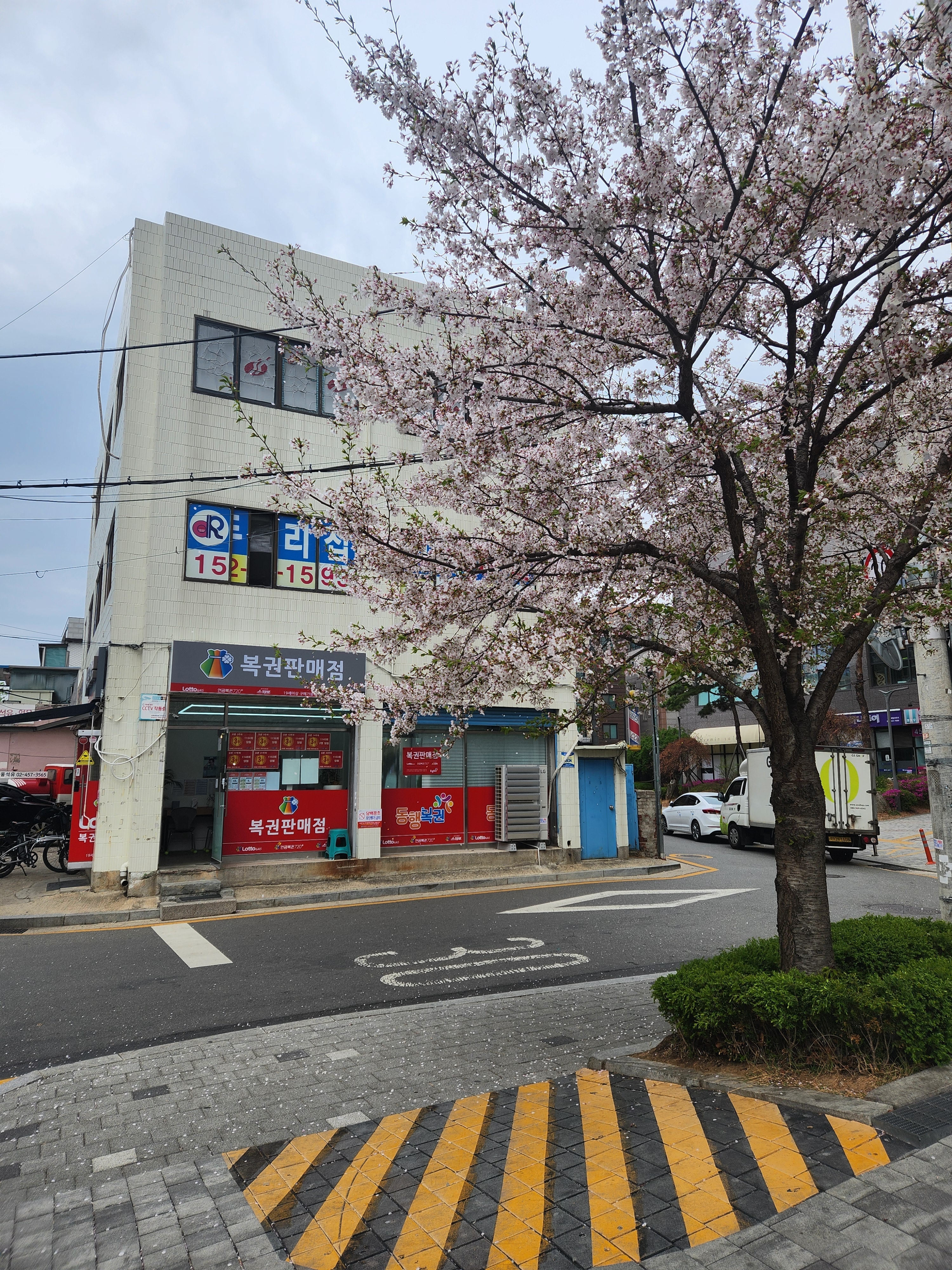 이번생엔복권