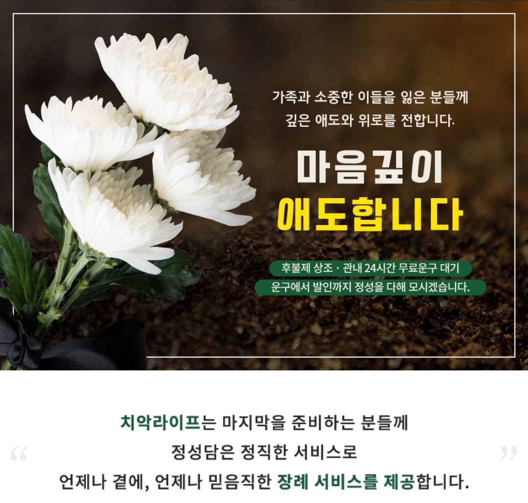 치악라이프