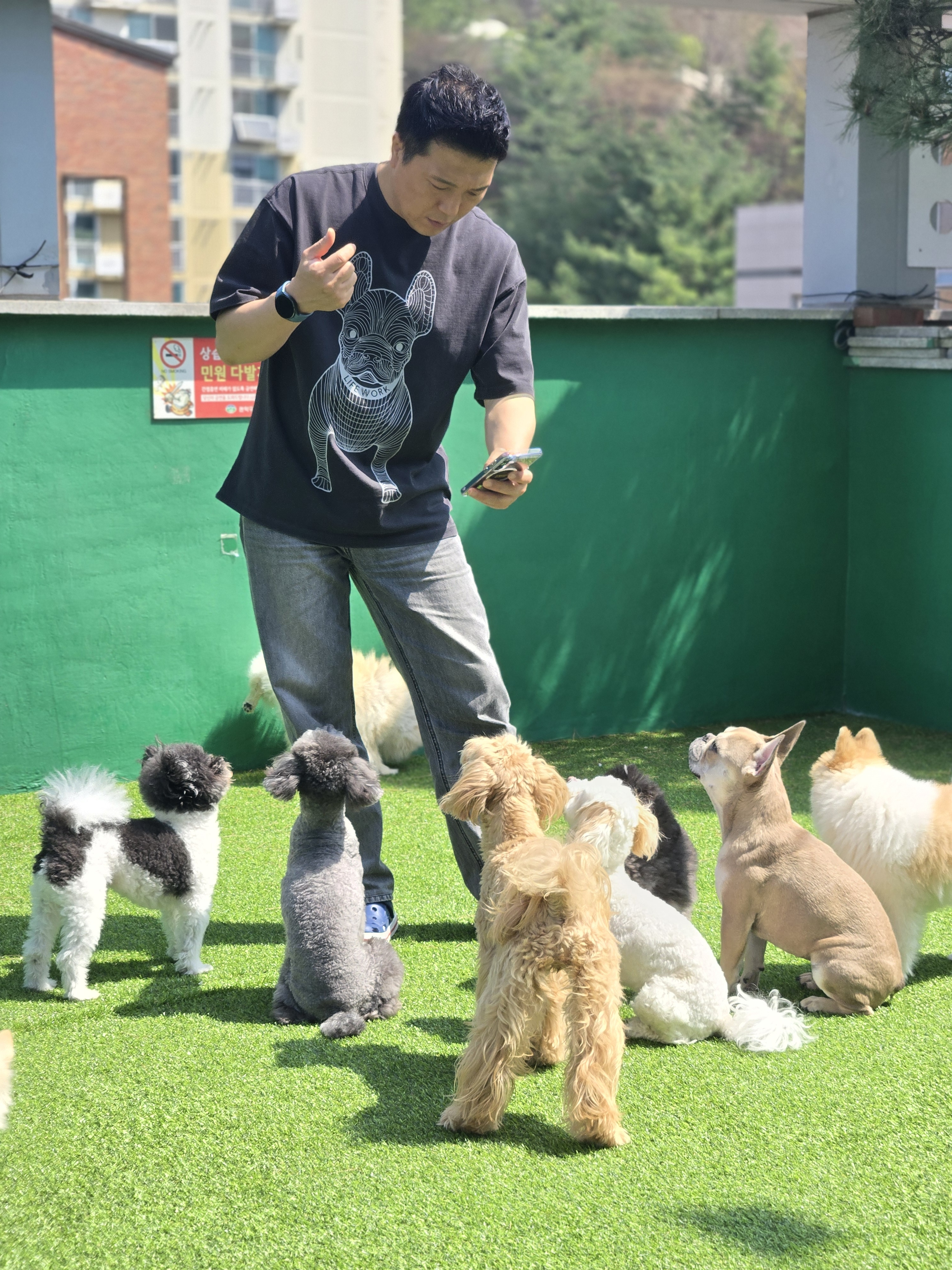 스마트독 대표 이미지