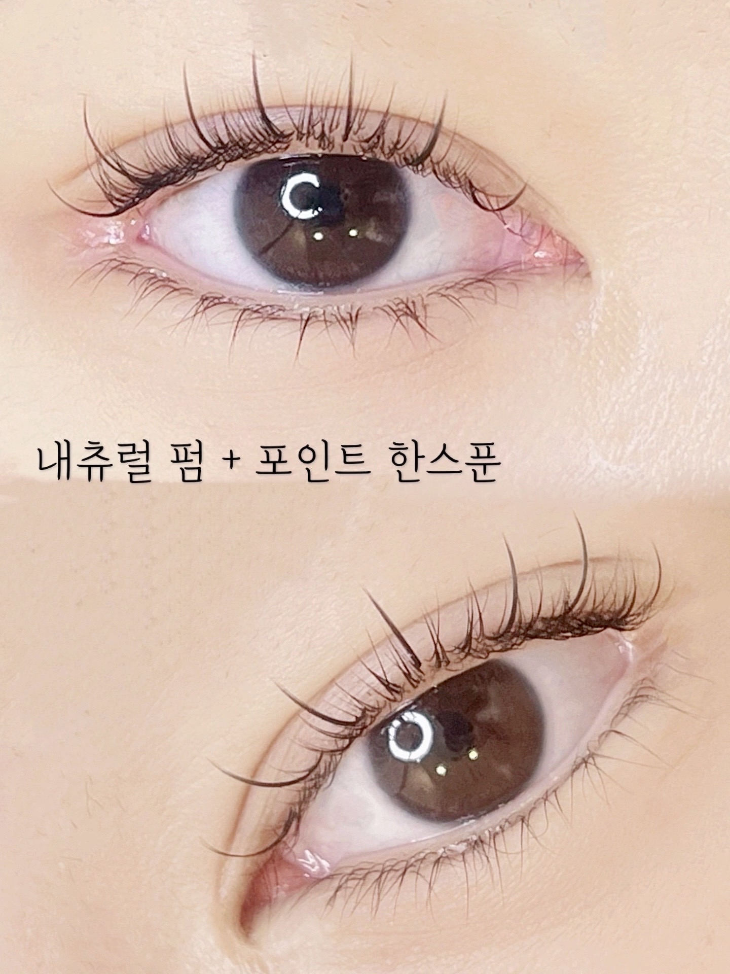 아끌래쉬