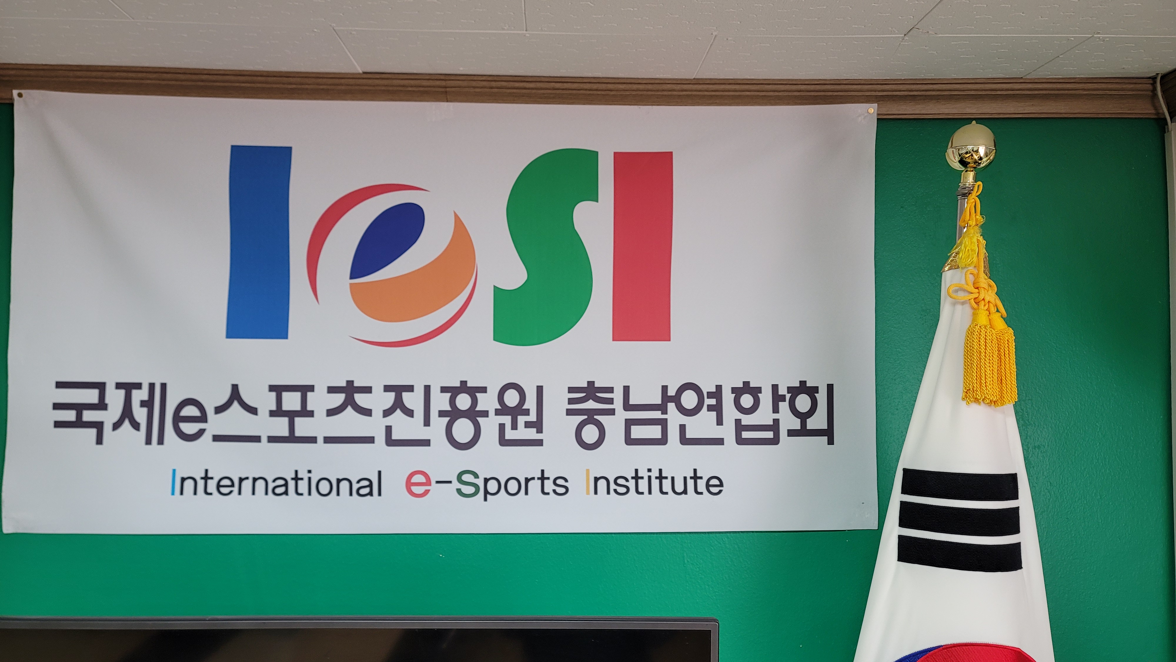 국제e스포츠진흥원 충남연합회