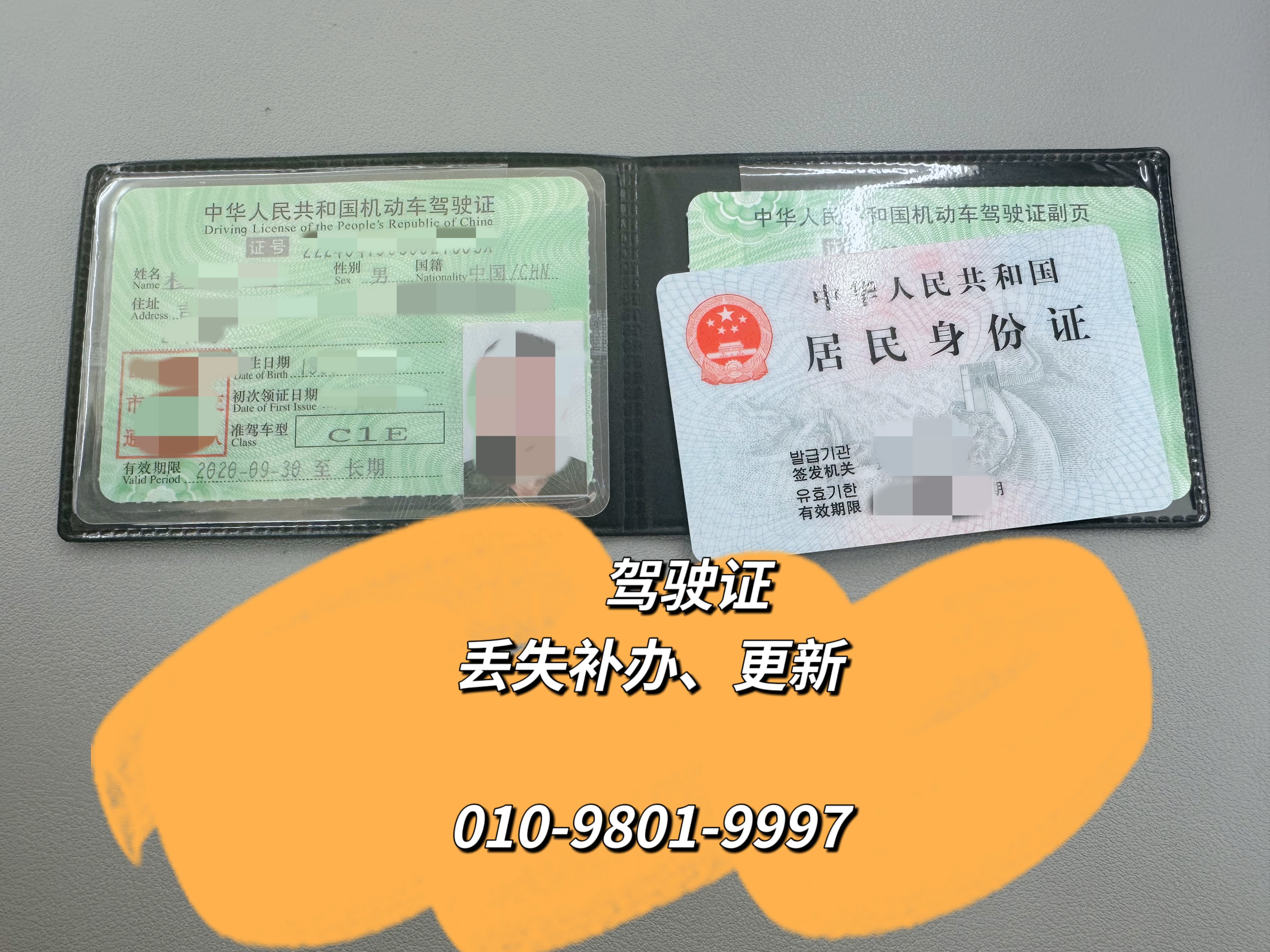 디엠디 월드 여행사