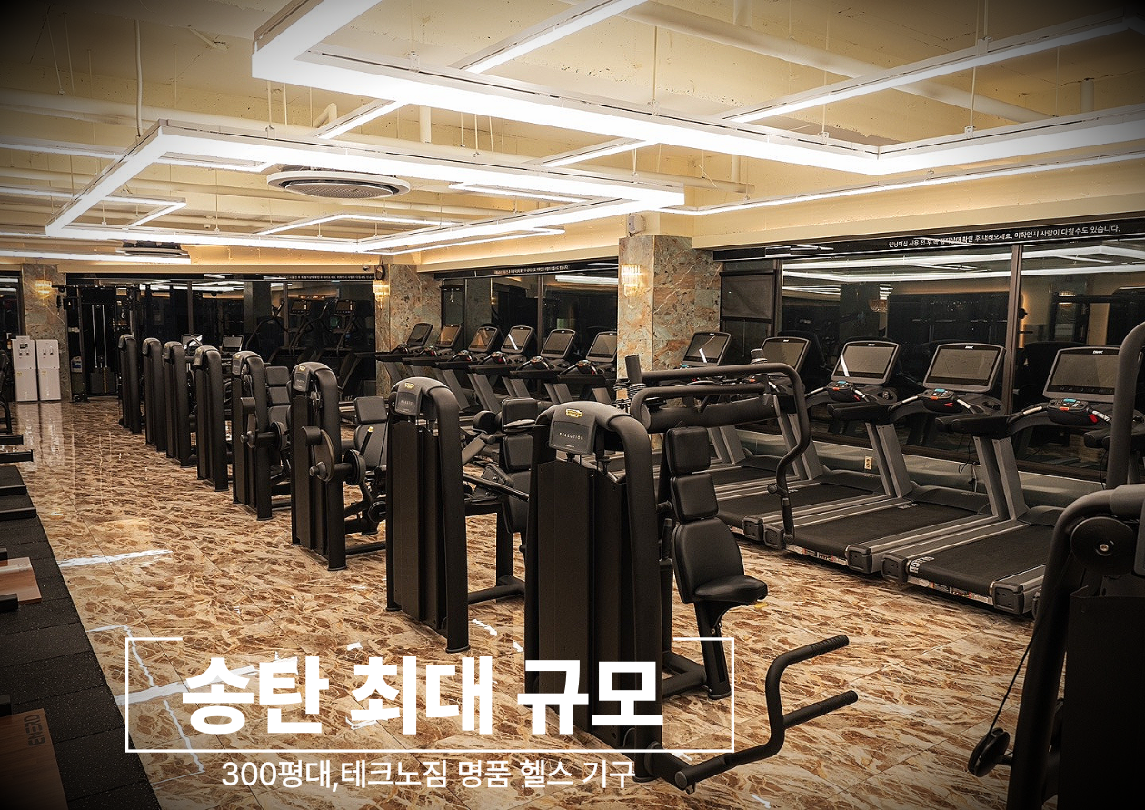 스테디휘트니스 이충점