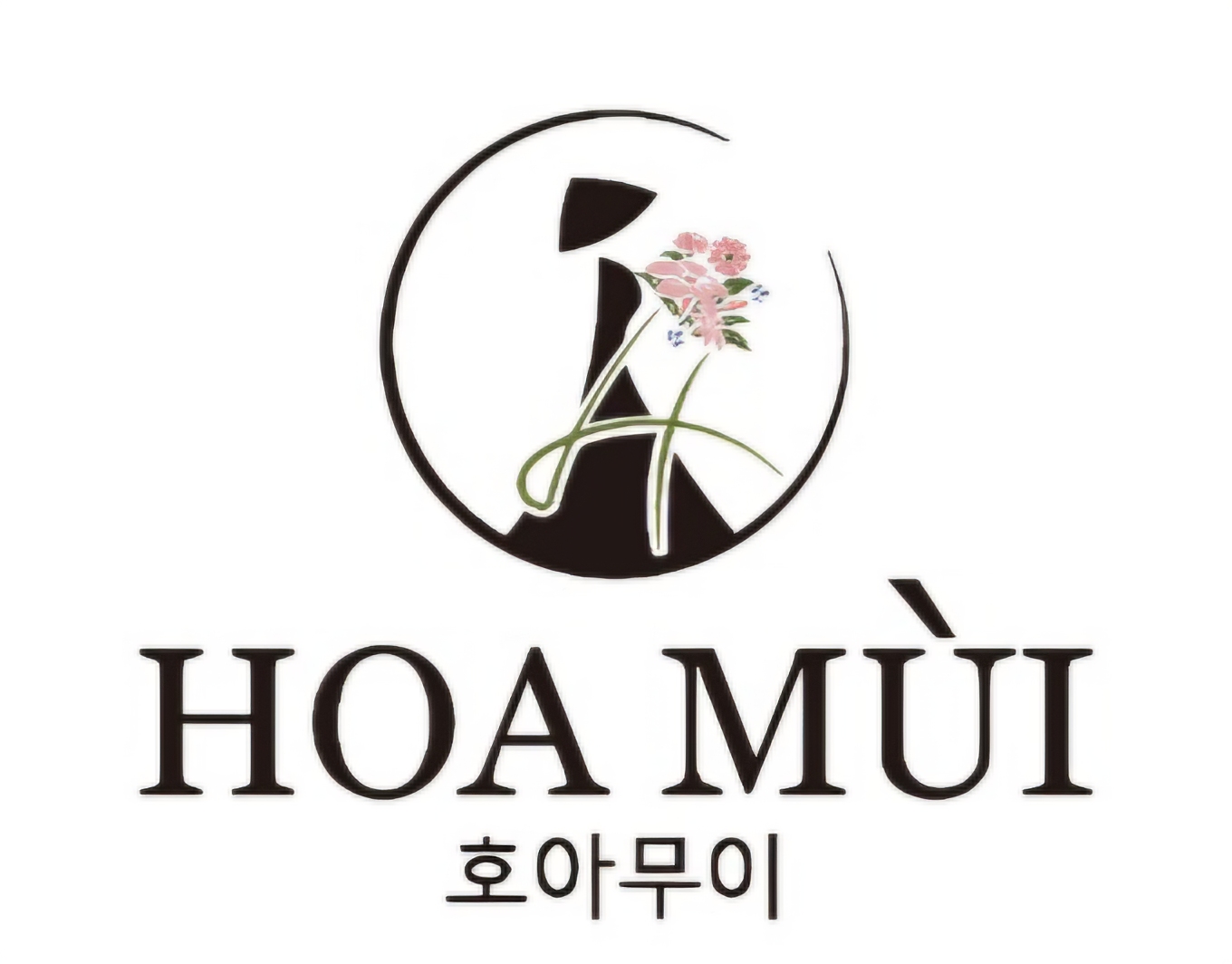 호아무이