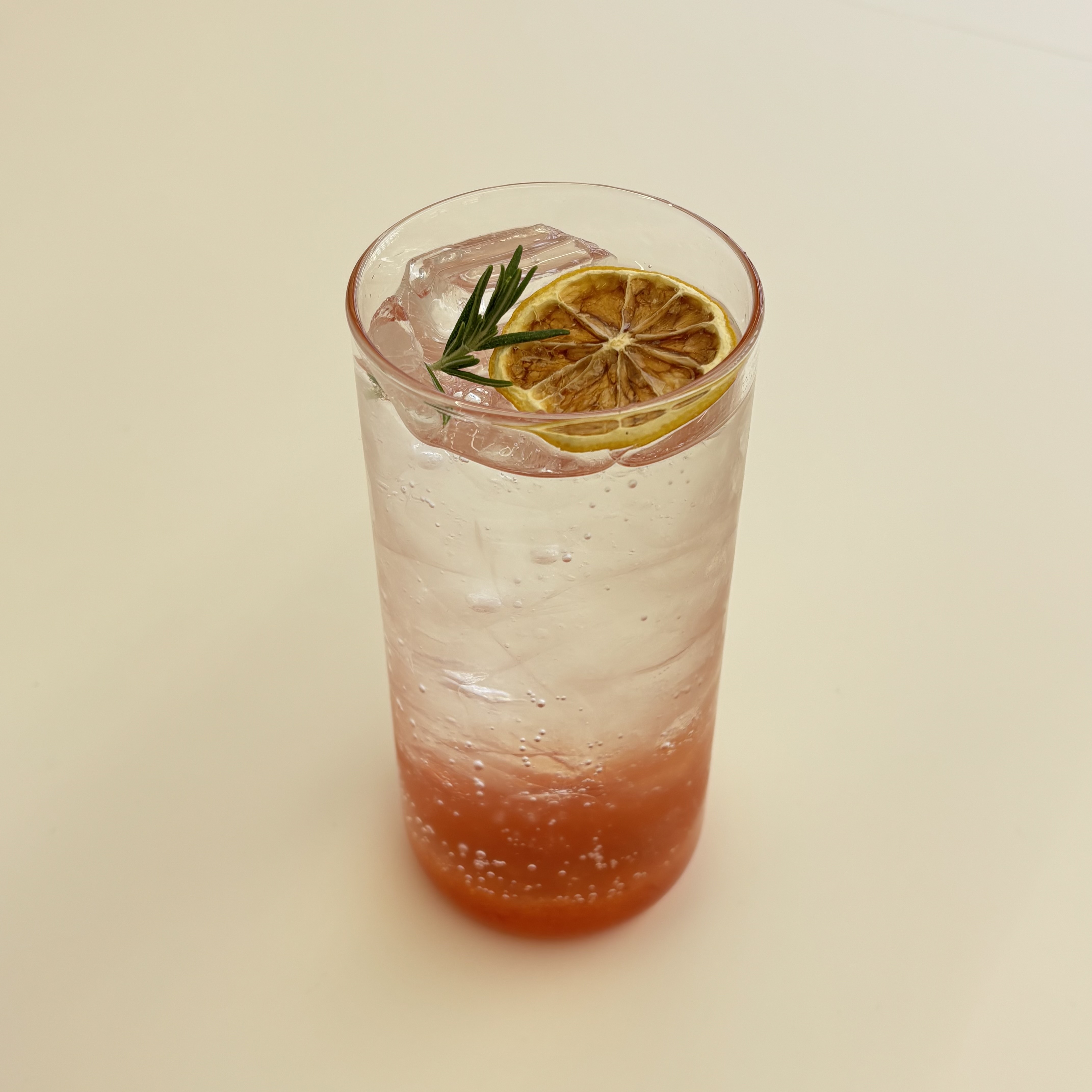 멀로커피 경상 애견맛집