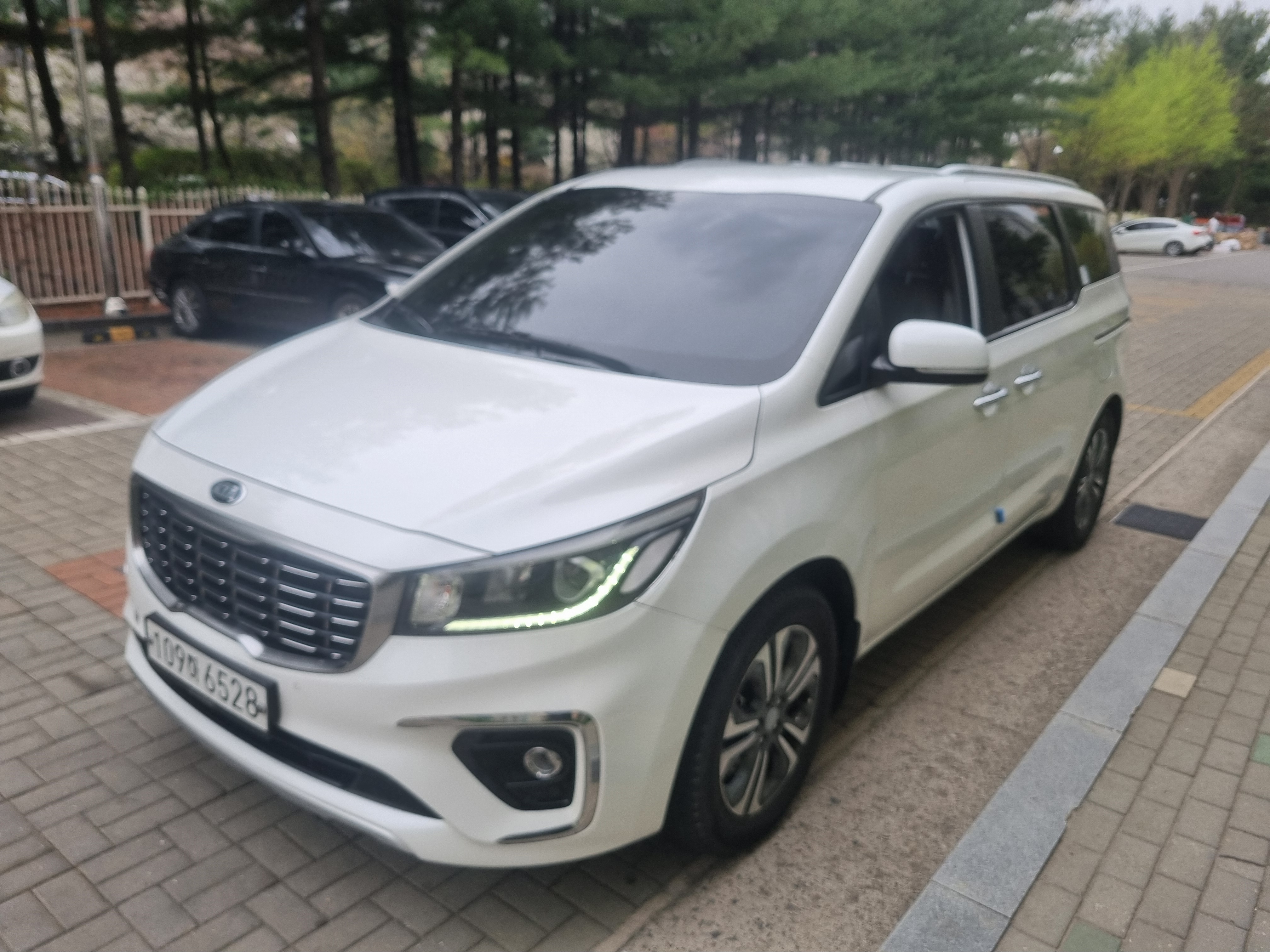 뉴가나다렌트카 일산동구 백석점 대표 이미지