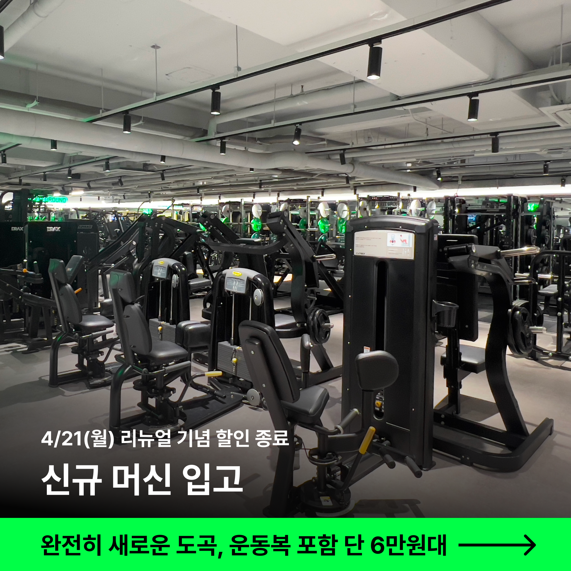 버핏그라운드 도곡