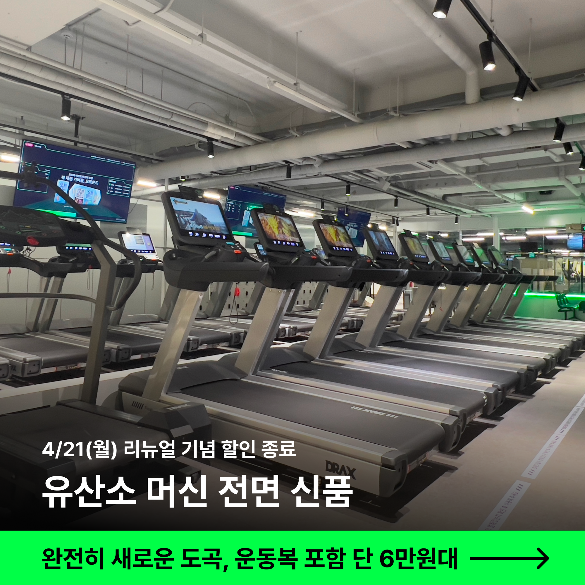 버핏그라운드 도곡