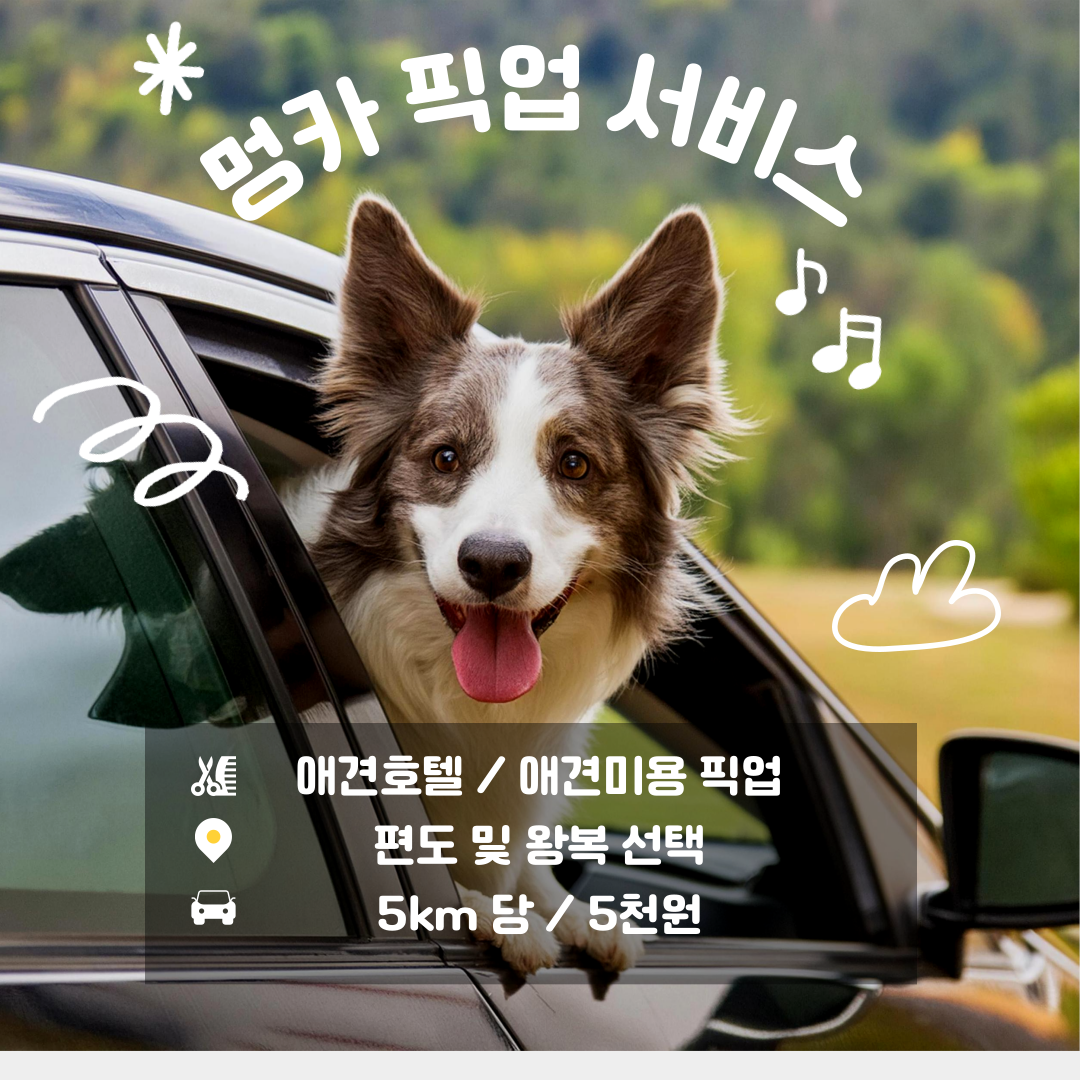 니멍내멍 대표 이미지