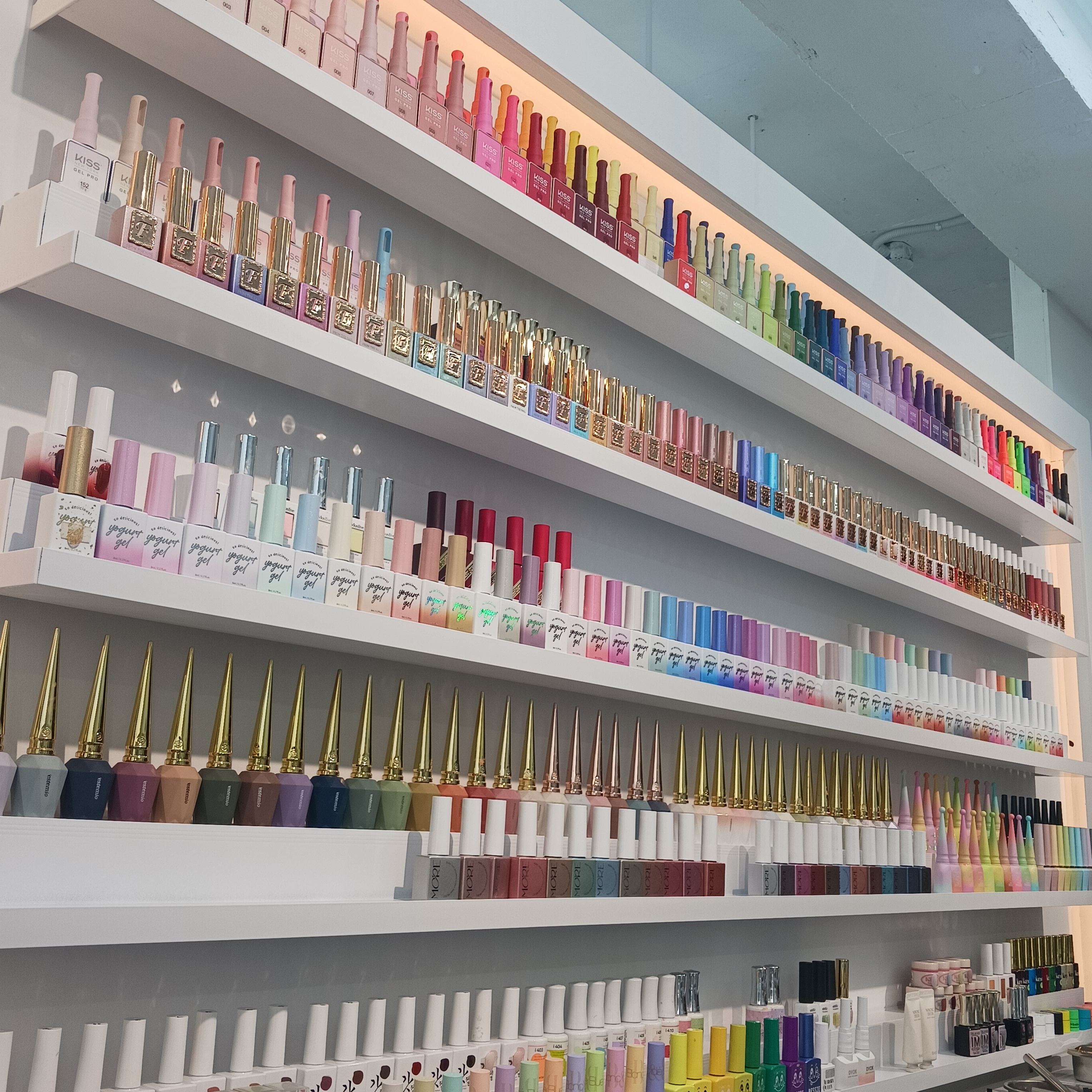 미슈네일 대표 이미지