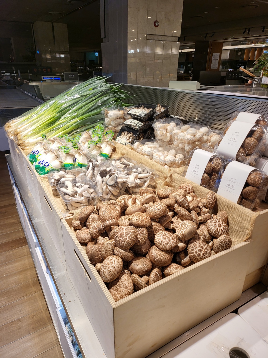 미스터아빠 롯데백화점 울산점