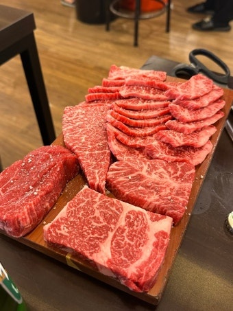갈비숲