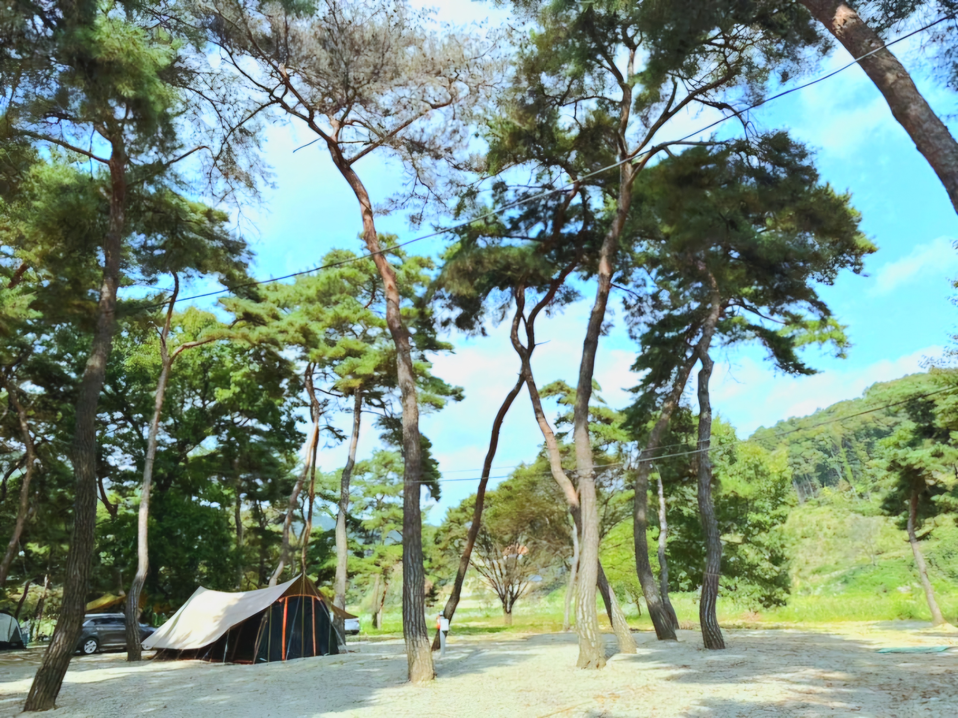 숲속의 캠핑장