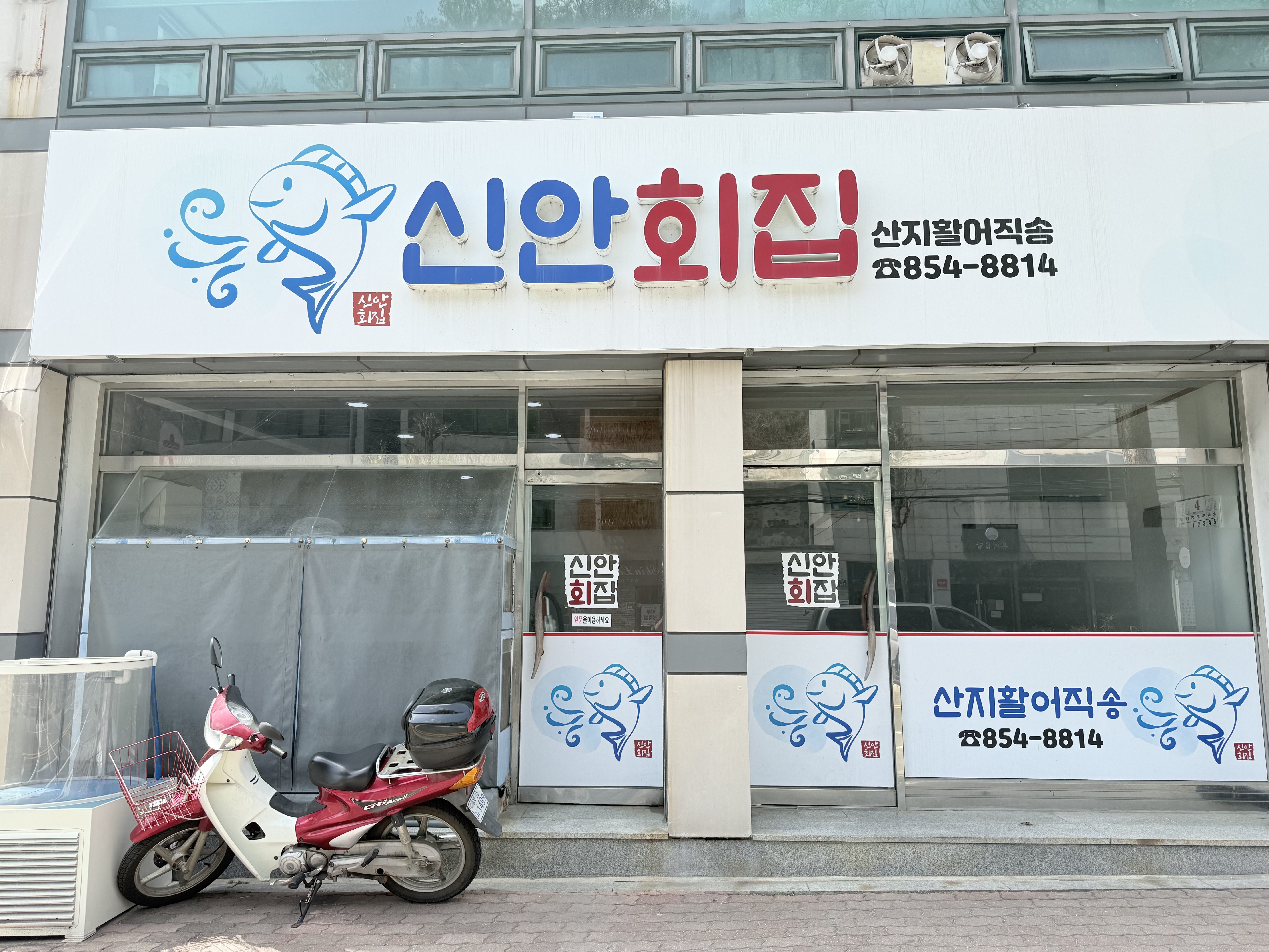 신안횟집