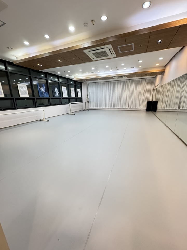 세종이화발레학원 대전원