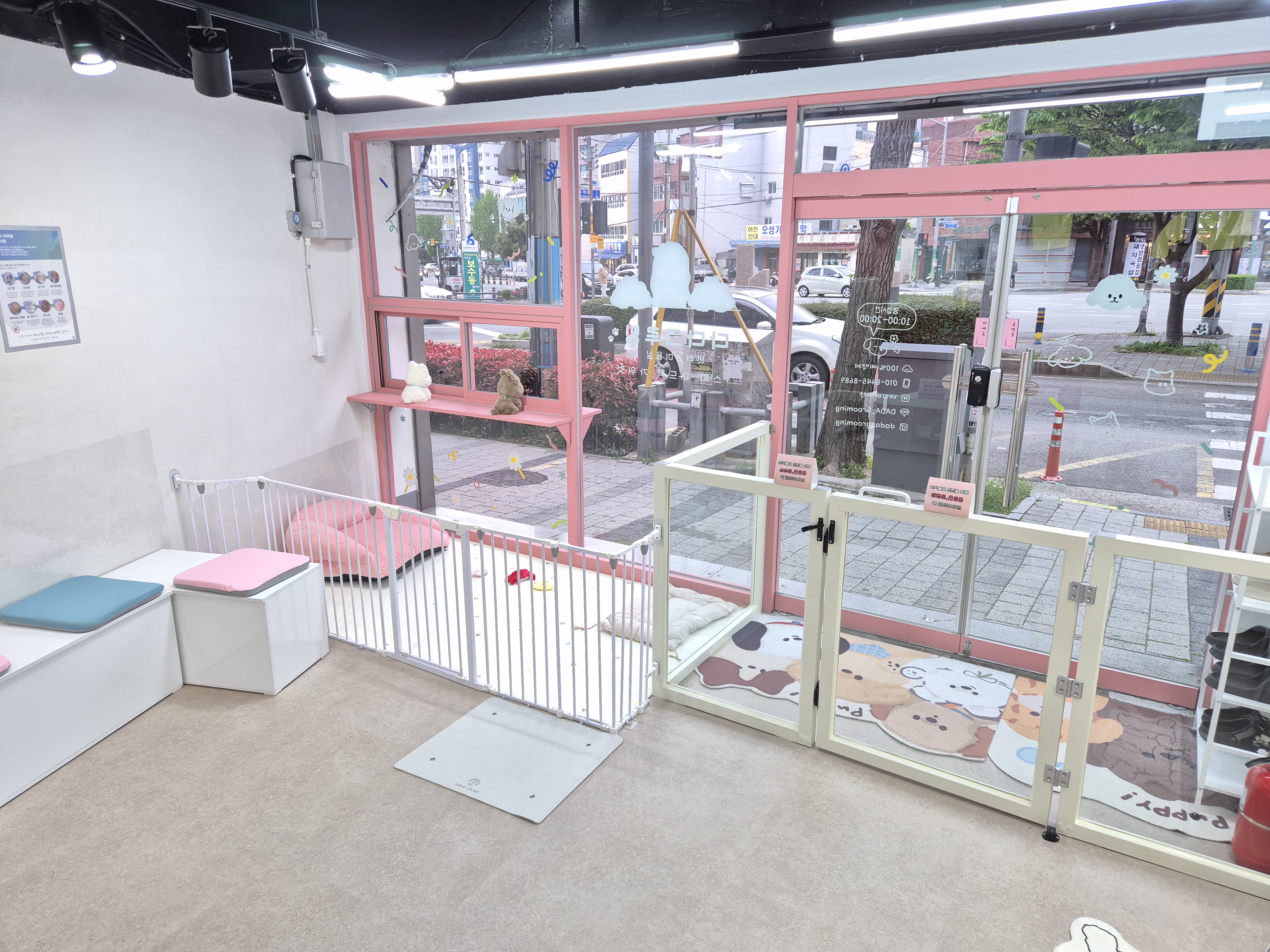 다다그루밍 대표 이미지 - 미용 후 예쁜 강아지