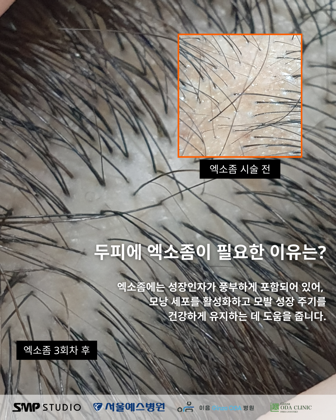 SMP STUDIO 본점 대표 이미지