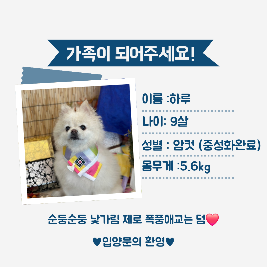 사랑스럽개 대표 이미지