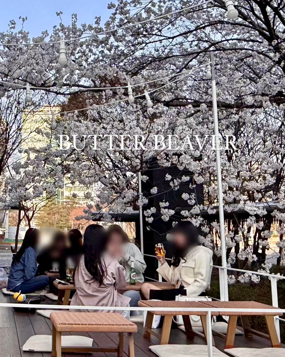 버터비버 범계본점