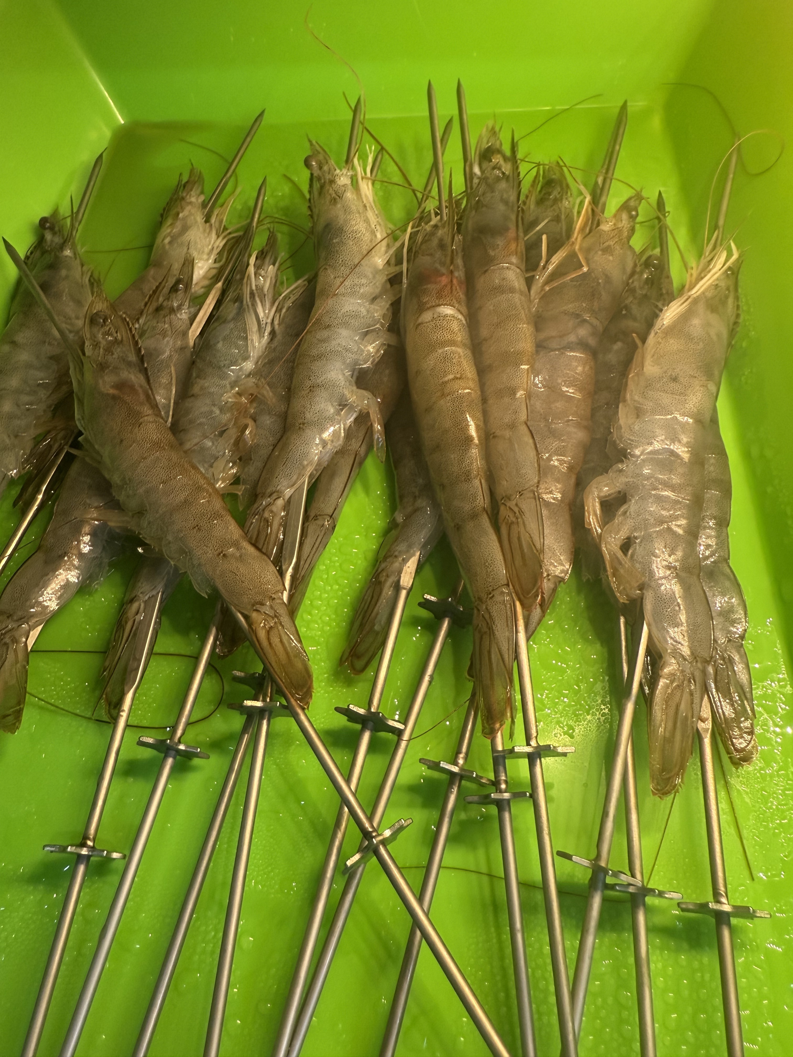 천향훠궈양꼬치무한리필