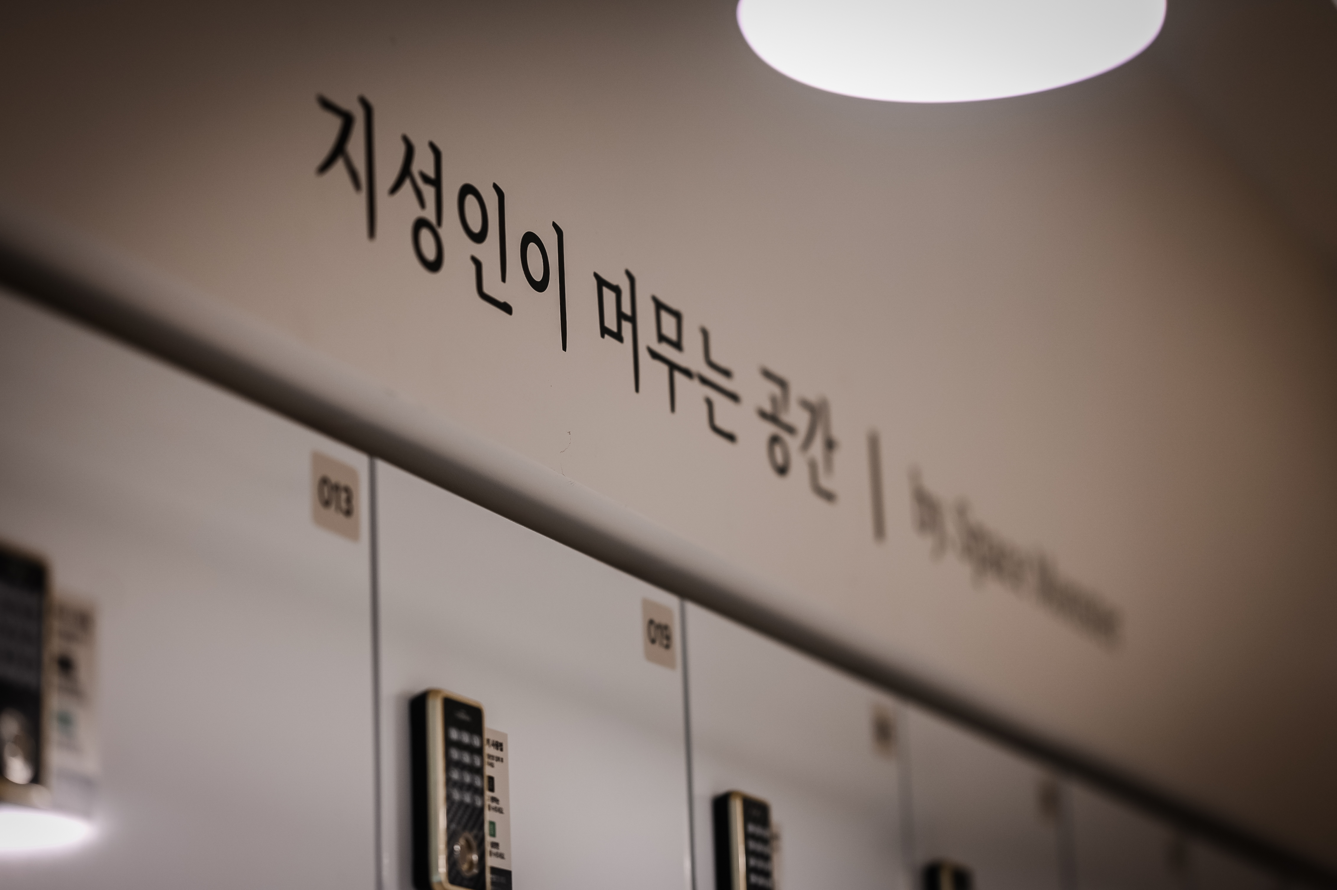 업체사진