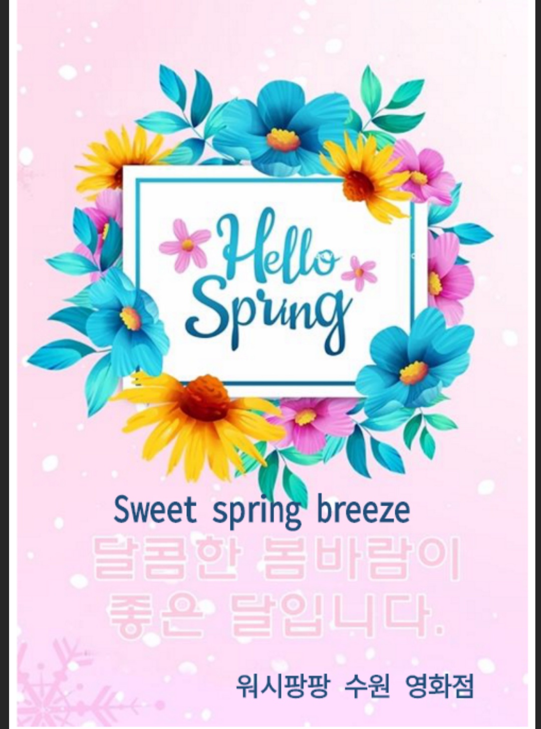 워시팡팡 셀프빨래방 수원영화점