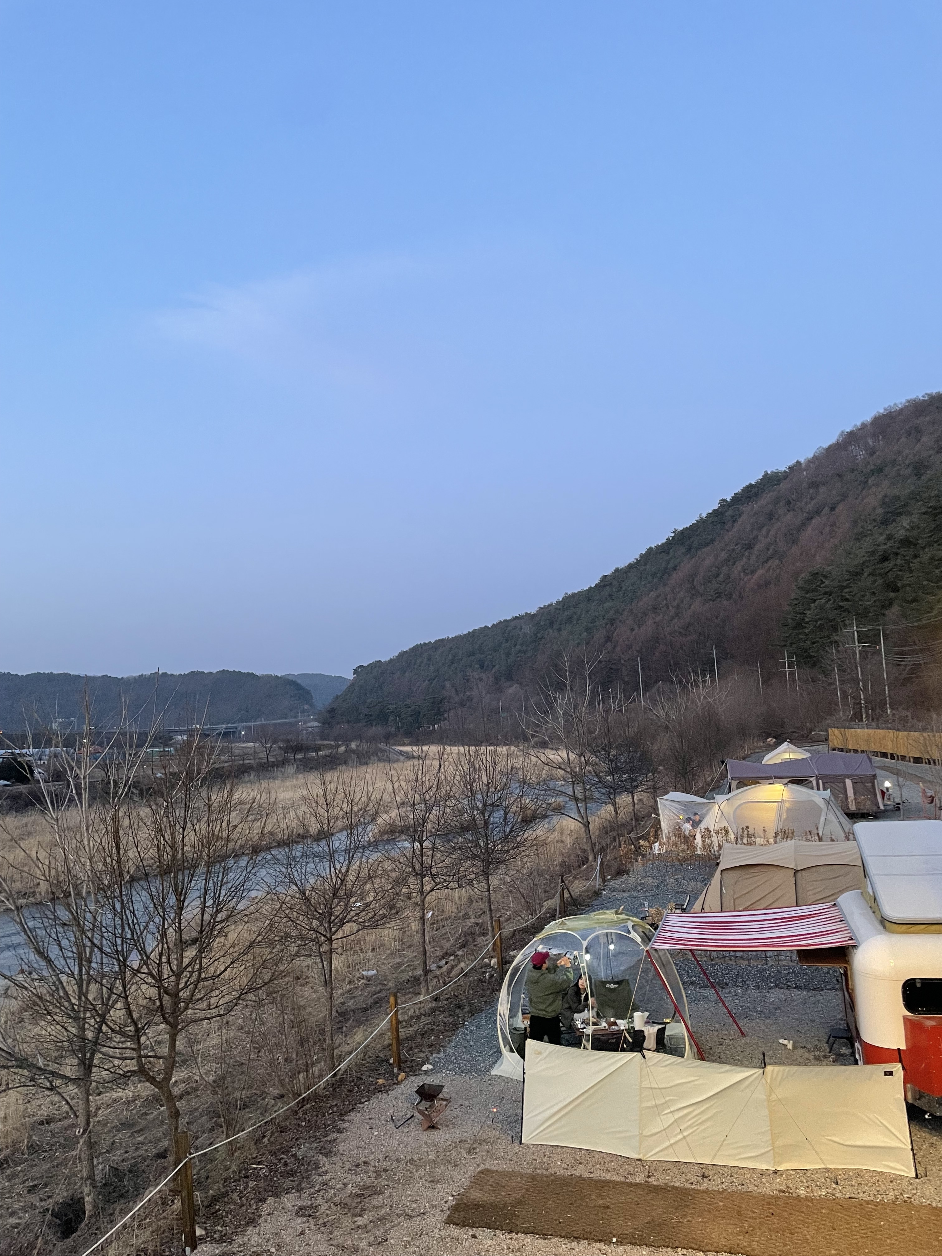 별빛사이 평창 반려동물 동반 애견카페