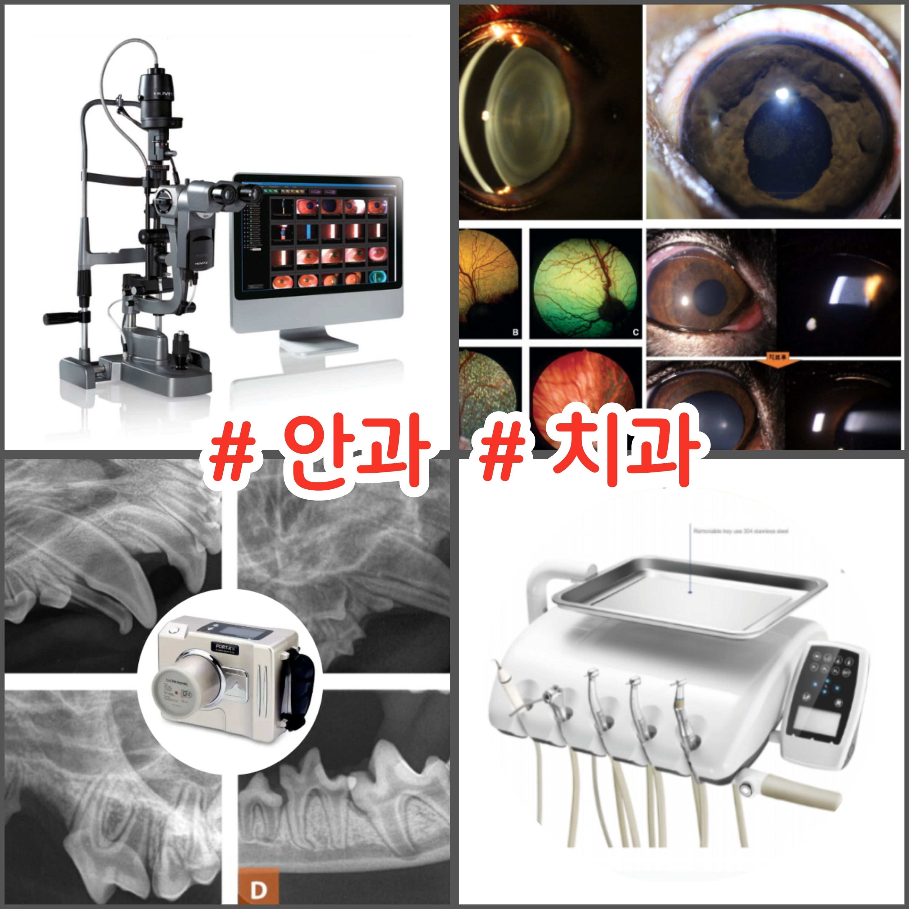 지인동물병원 대표 이미지