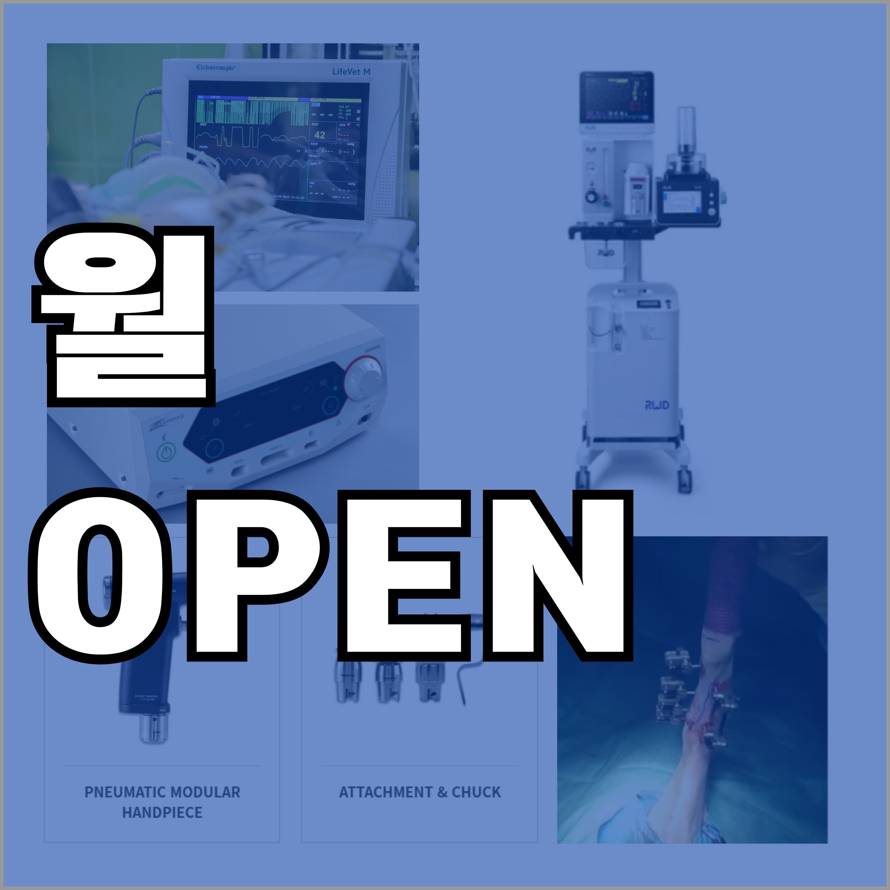 지인동물병원 대표 이미지
