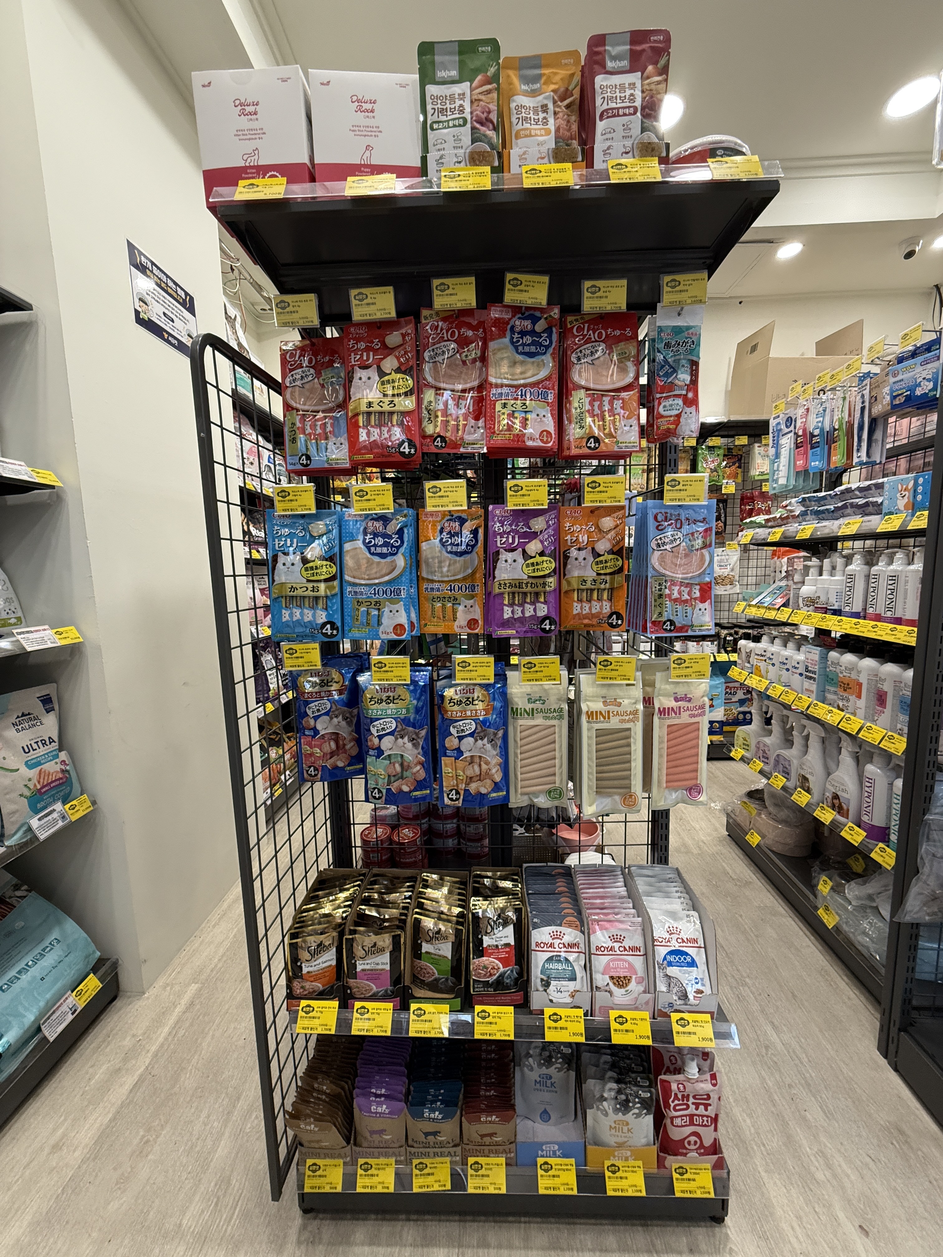 씨유펫 노원점 대표 이미지