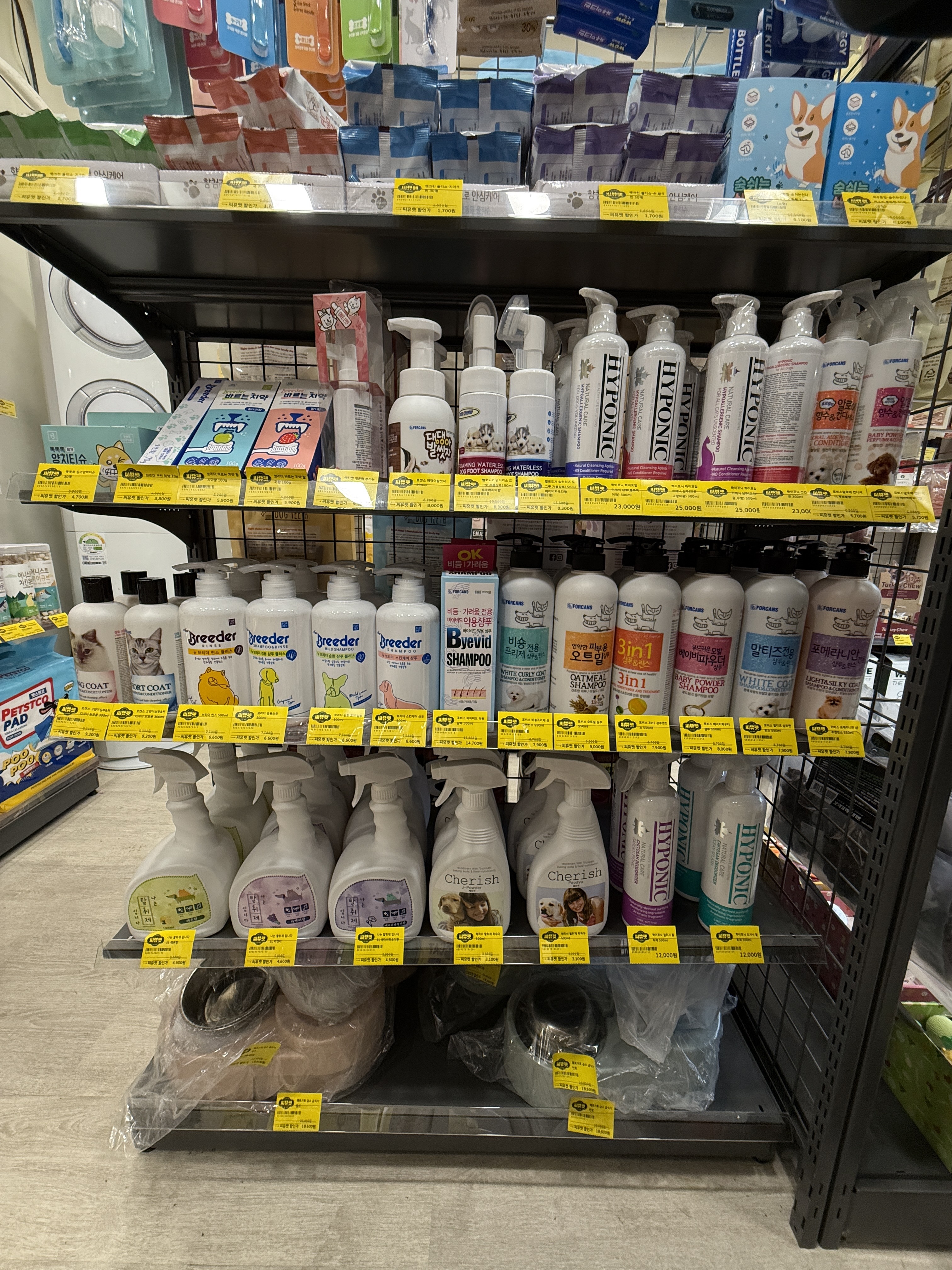 씨유펫 노원점 대표 이미지