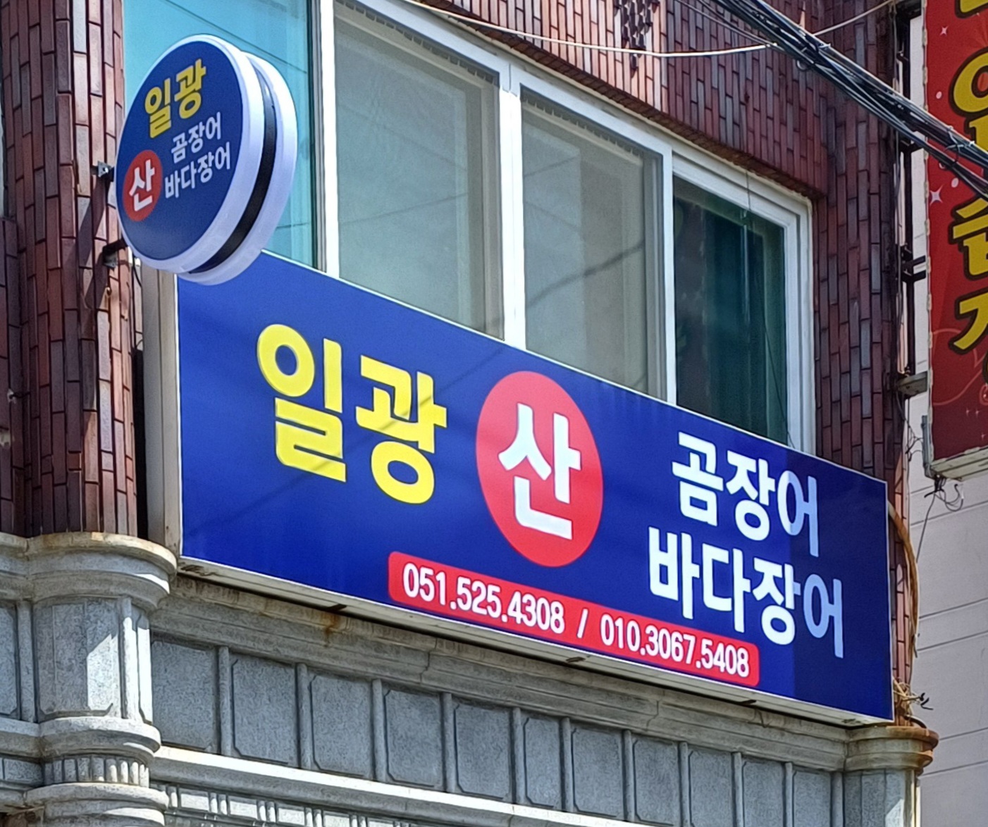 일광산곰장어바다장어