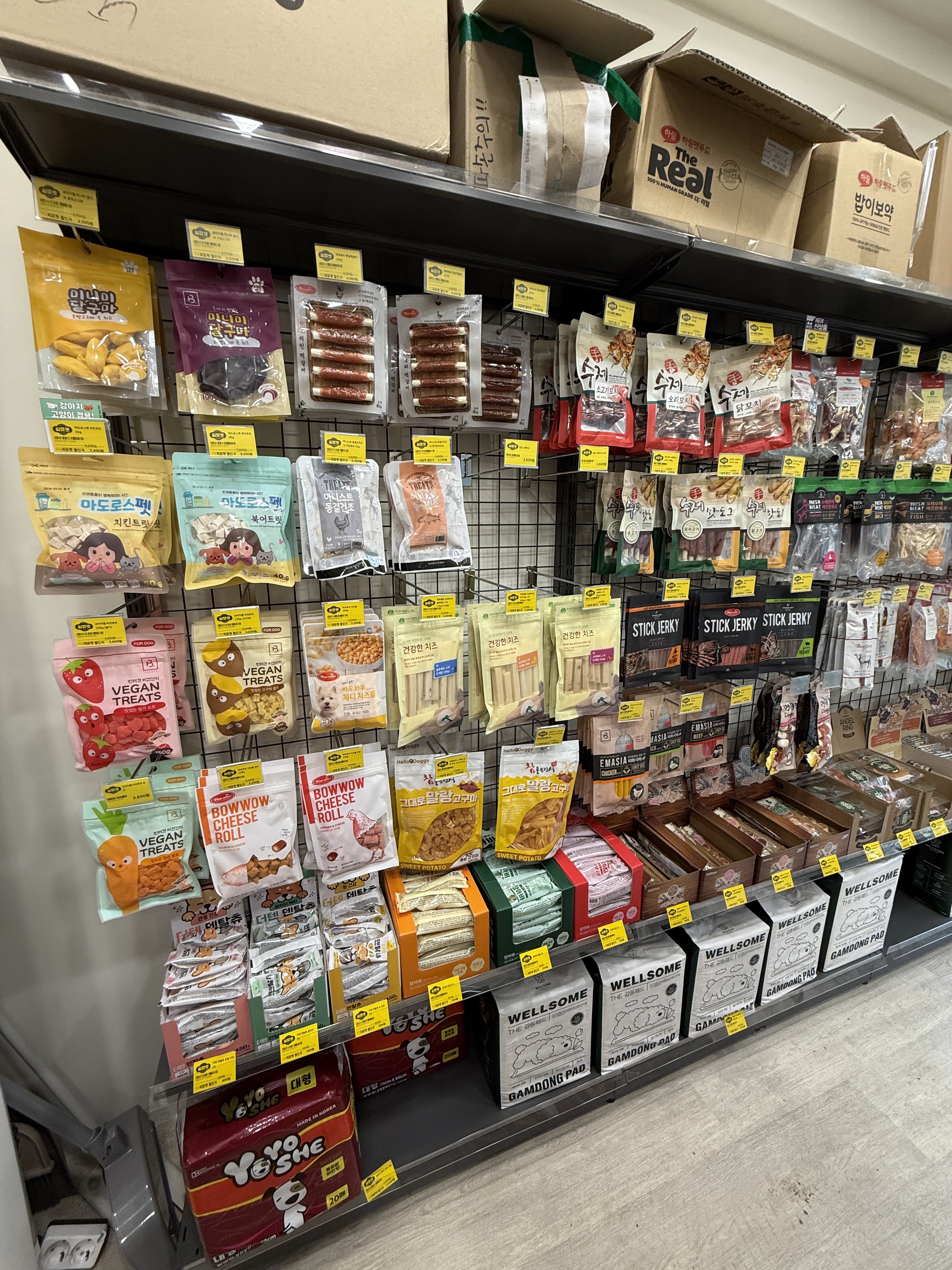 씨유펫 노원점 대표 이미지