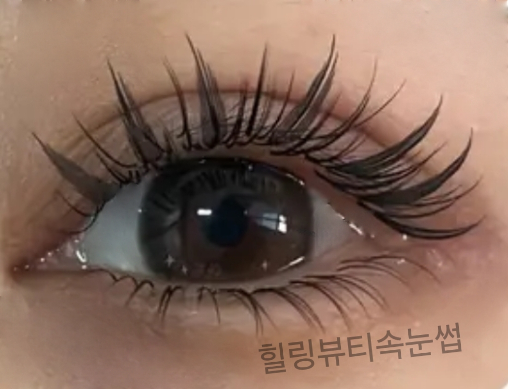 힐링뷰티속눈썹