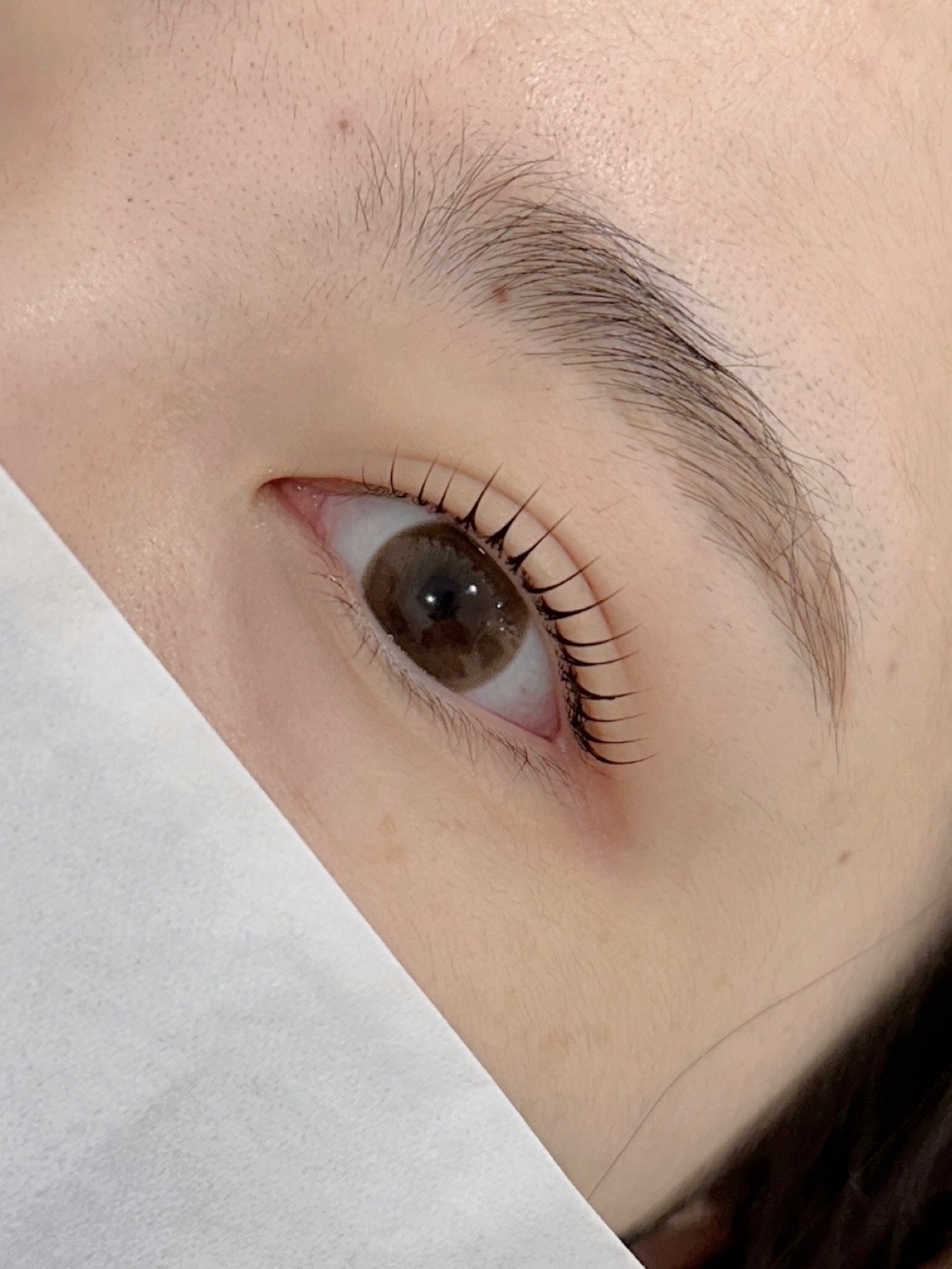 컬러피윤 대표 이미지