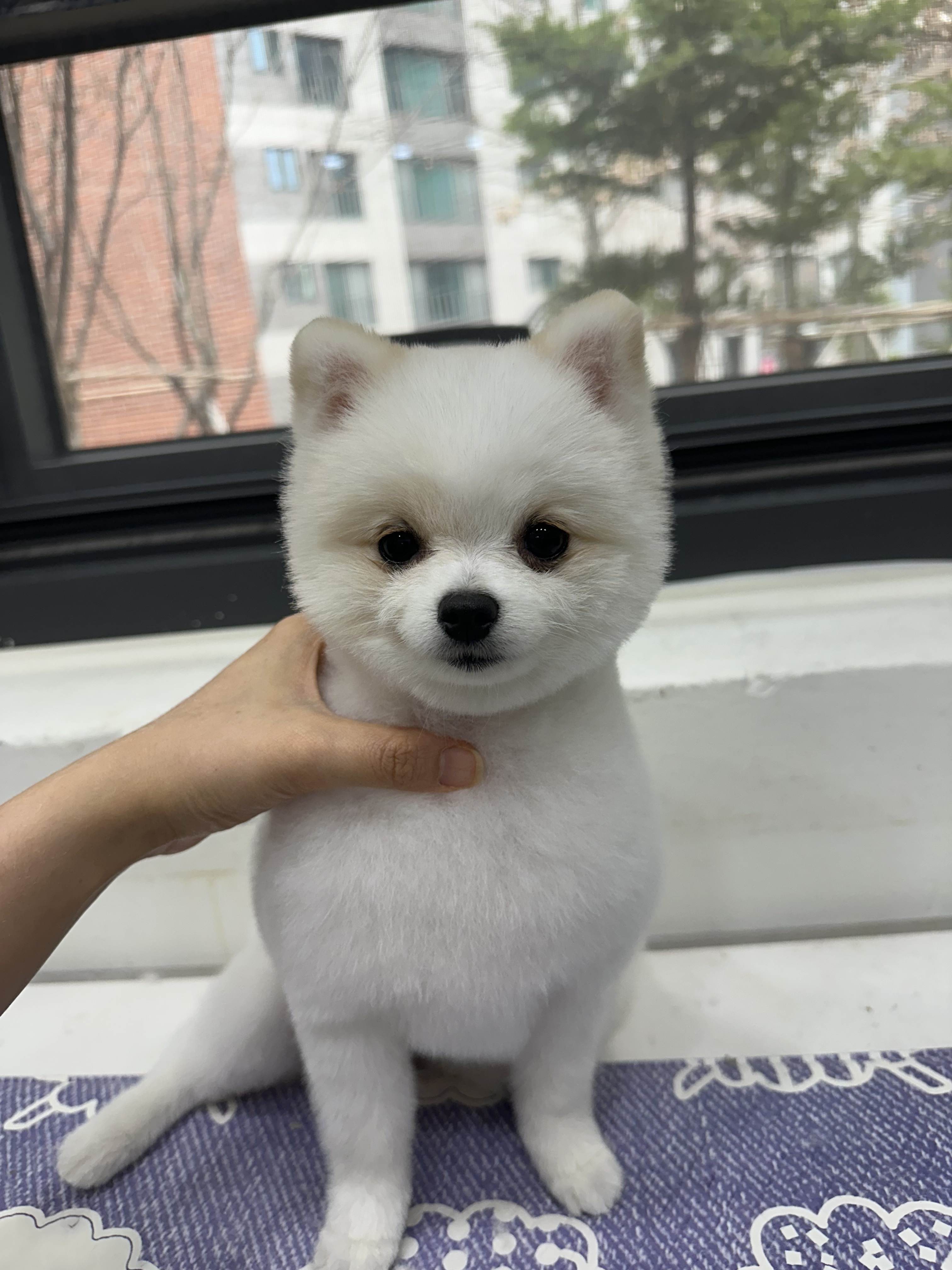 행복만개 인천본점 대표 이미지