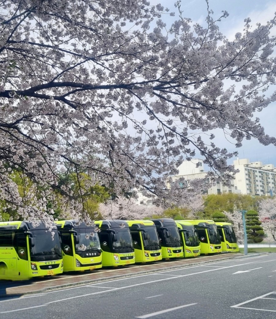 백마관광