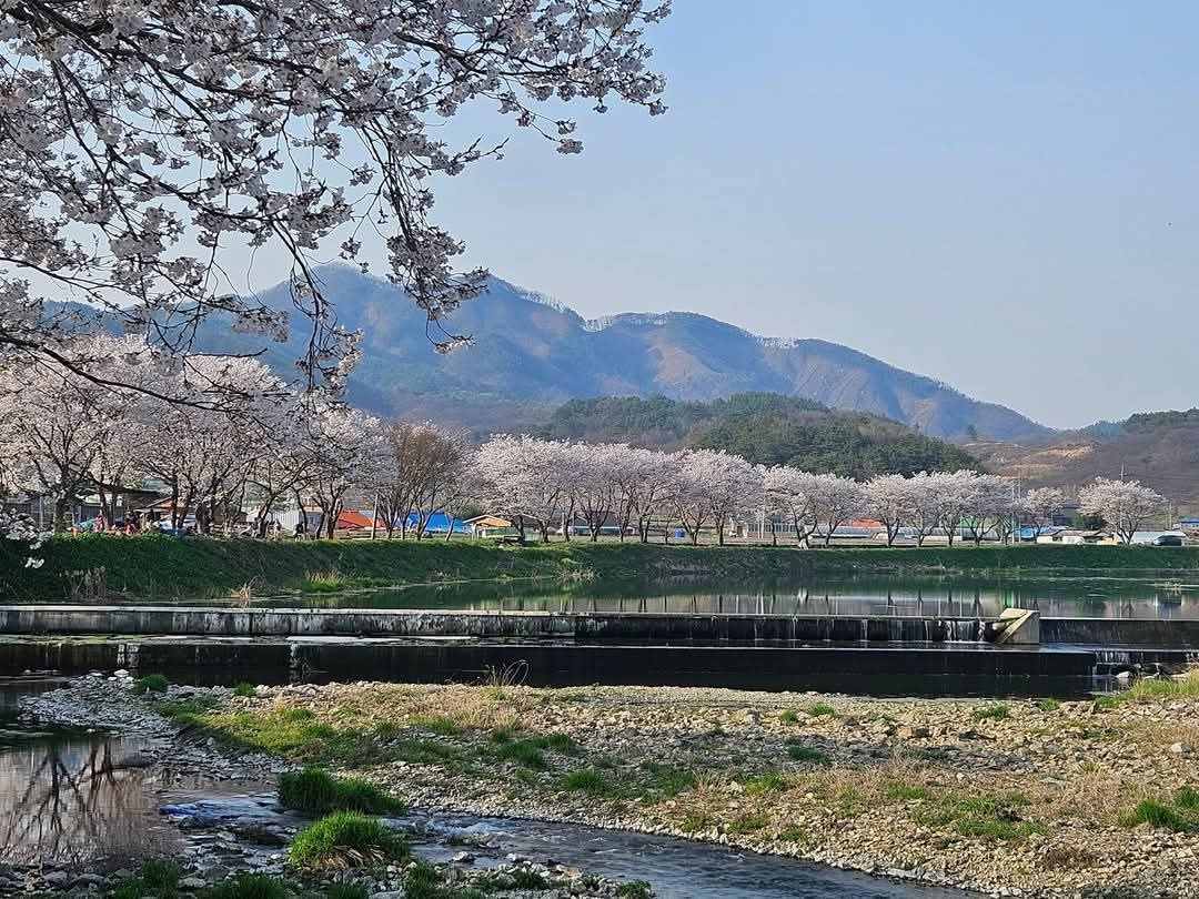 자유민박