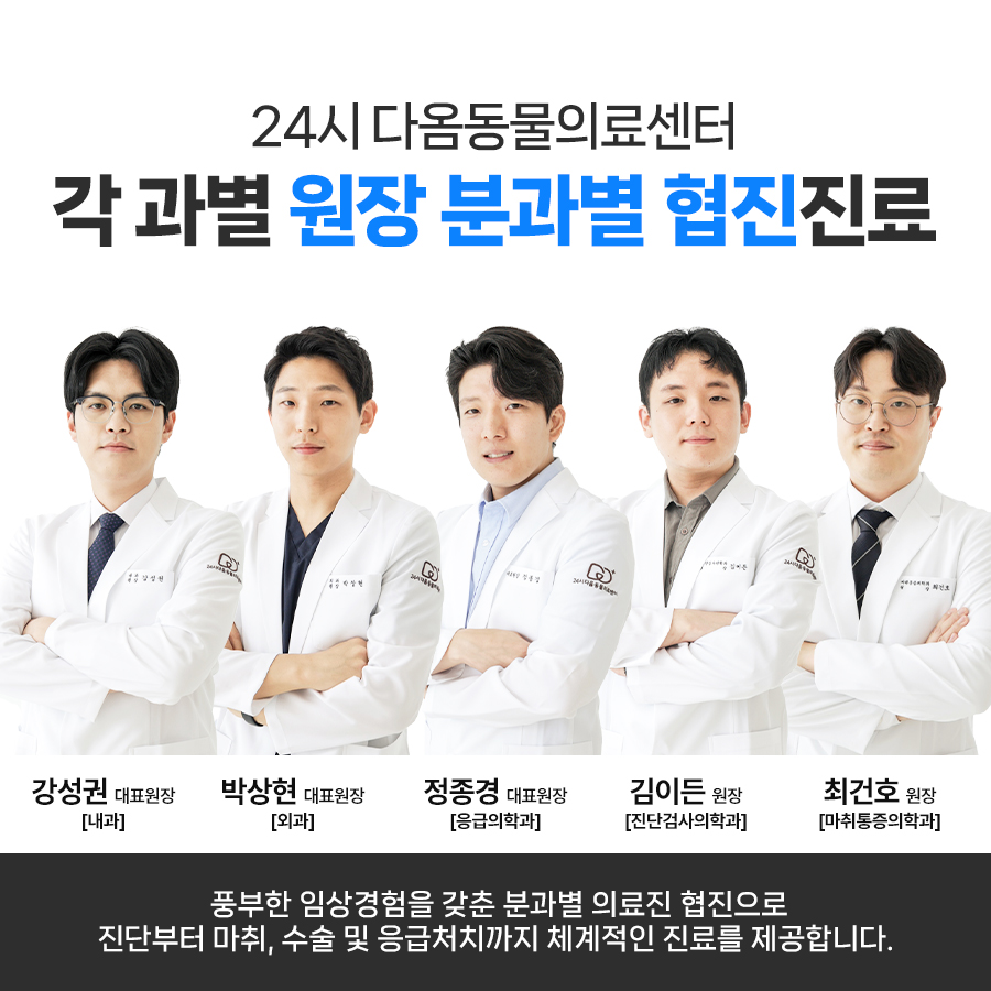 24시 청주 다옴동물의료센터