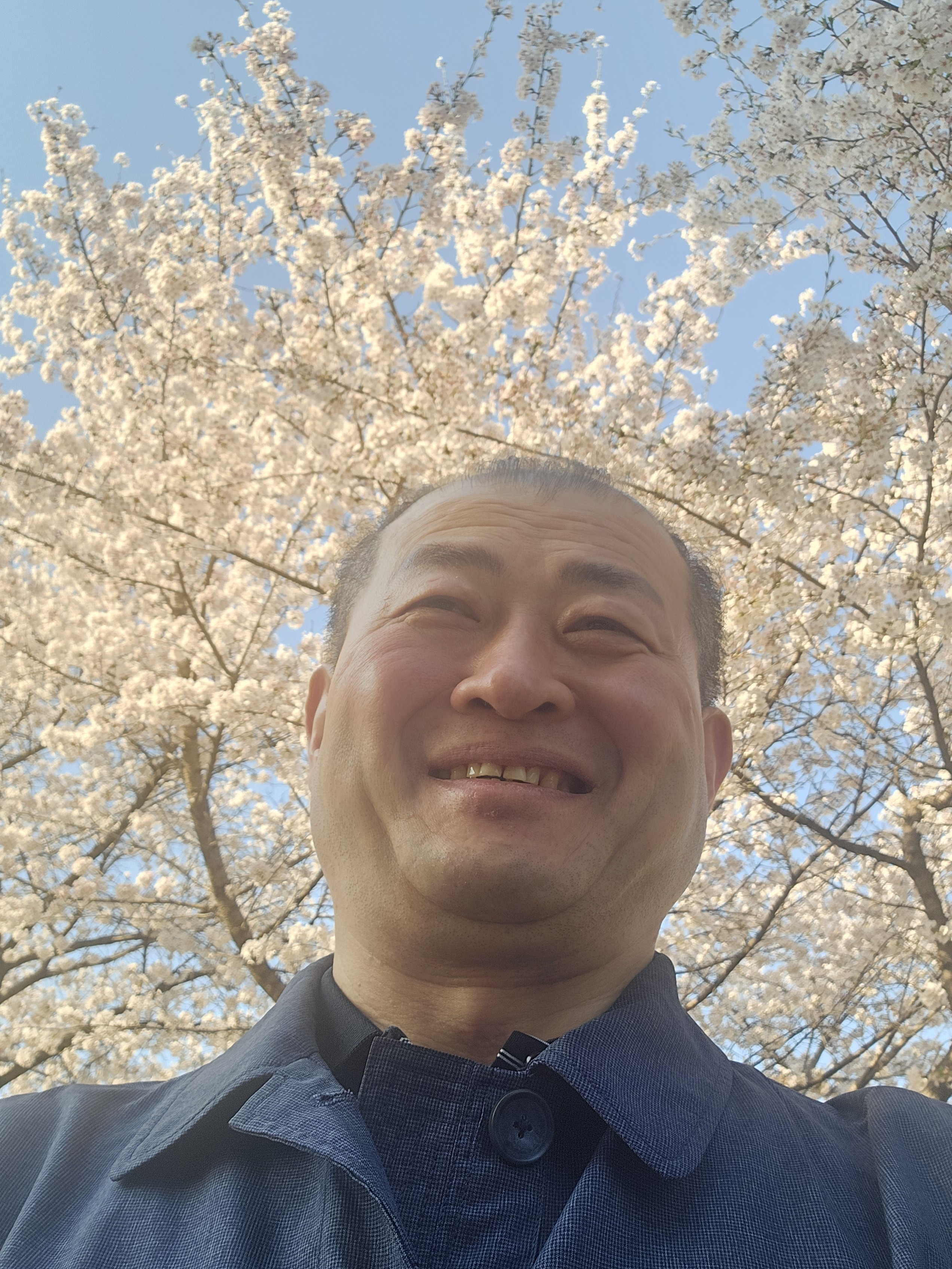 인셀덤 성남일지점
