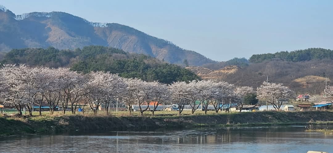 자유민박