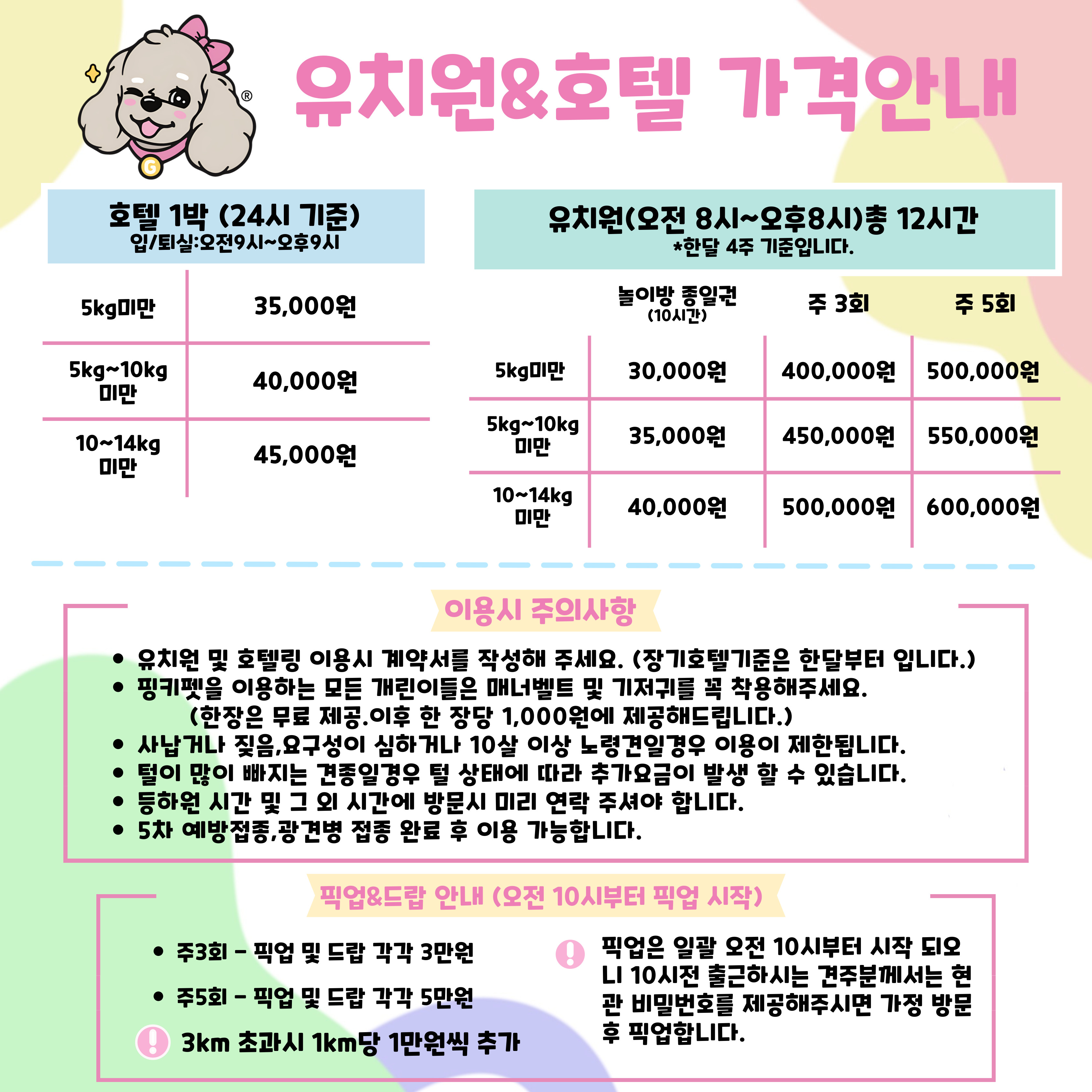 핑키펫 대표 이미지