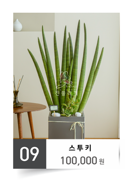 진플라워