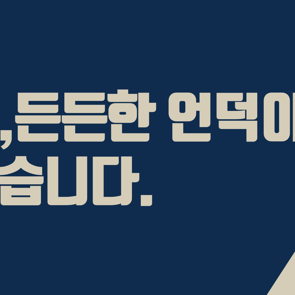 형사전문변호사 이혼전문변호사 법무법인 로힐 대표 이미지