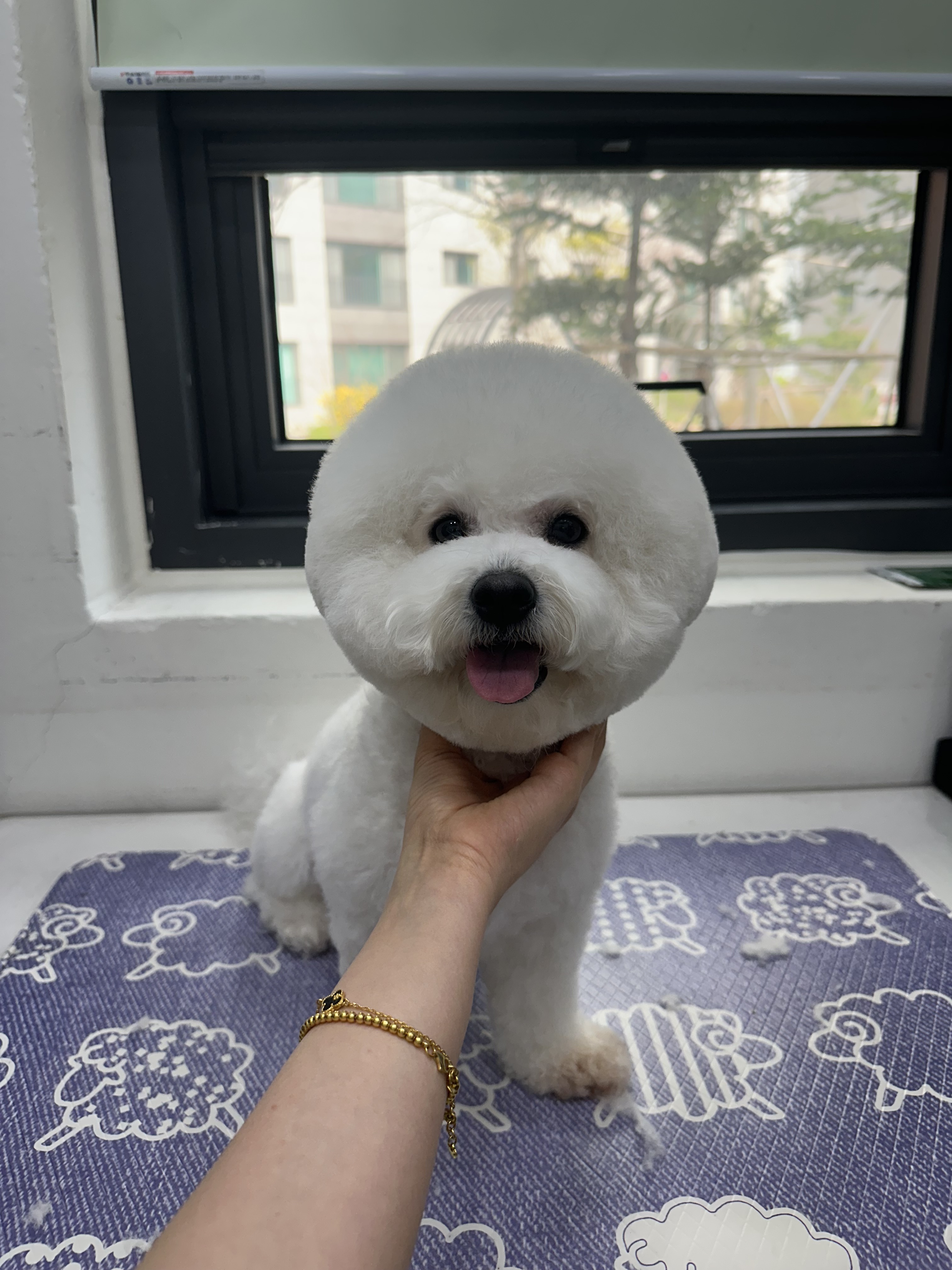 행복만개 대표 이미지