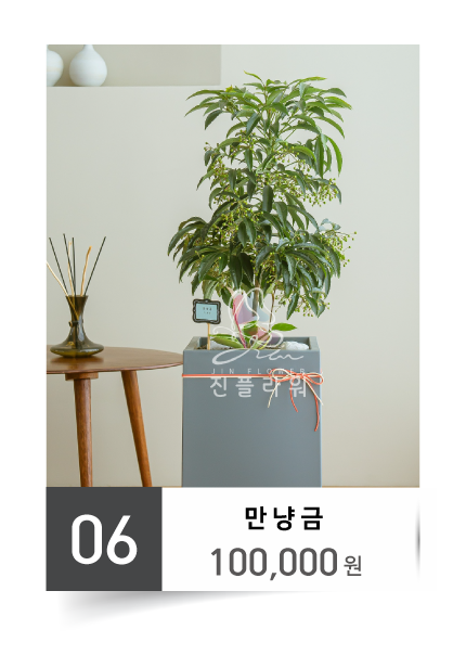 진플라워