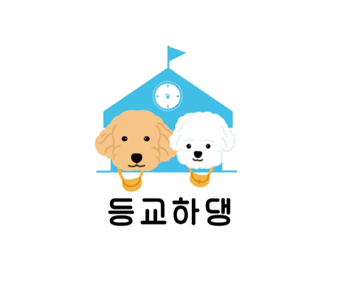 등교하댕 애견유치원 & 교육센터